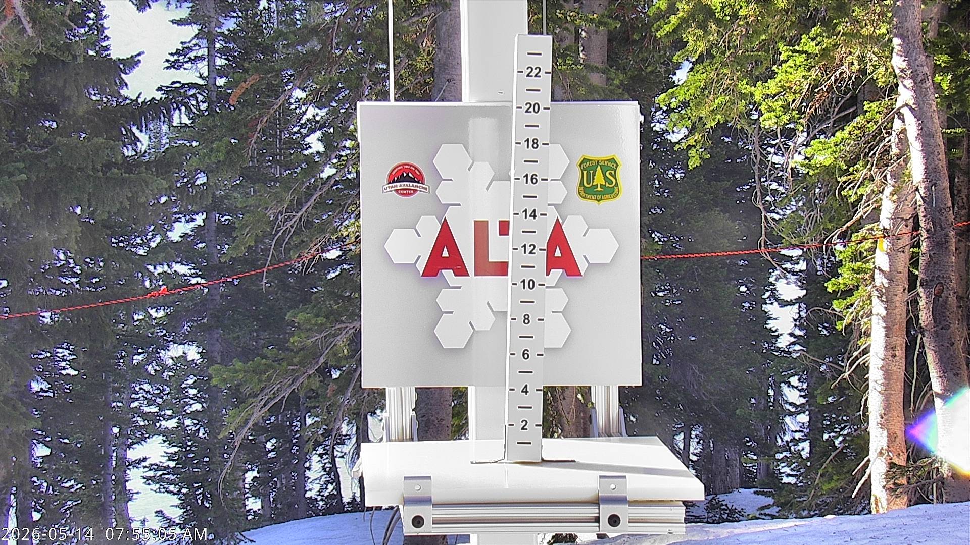 Collins Snow Stake