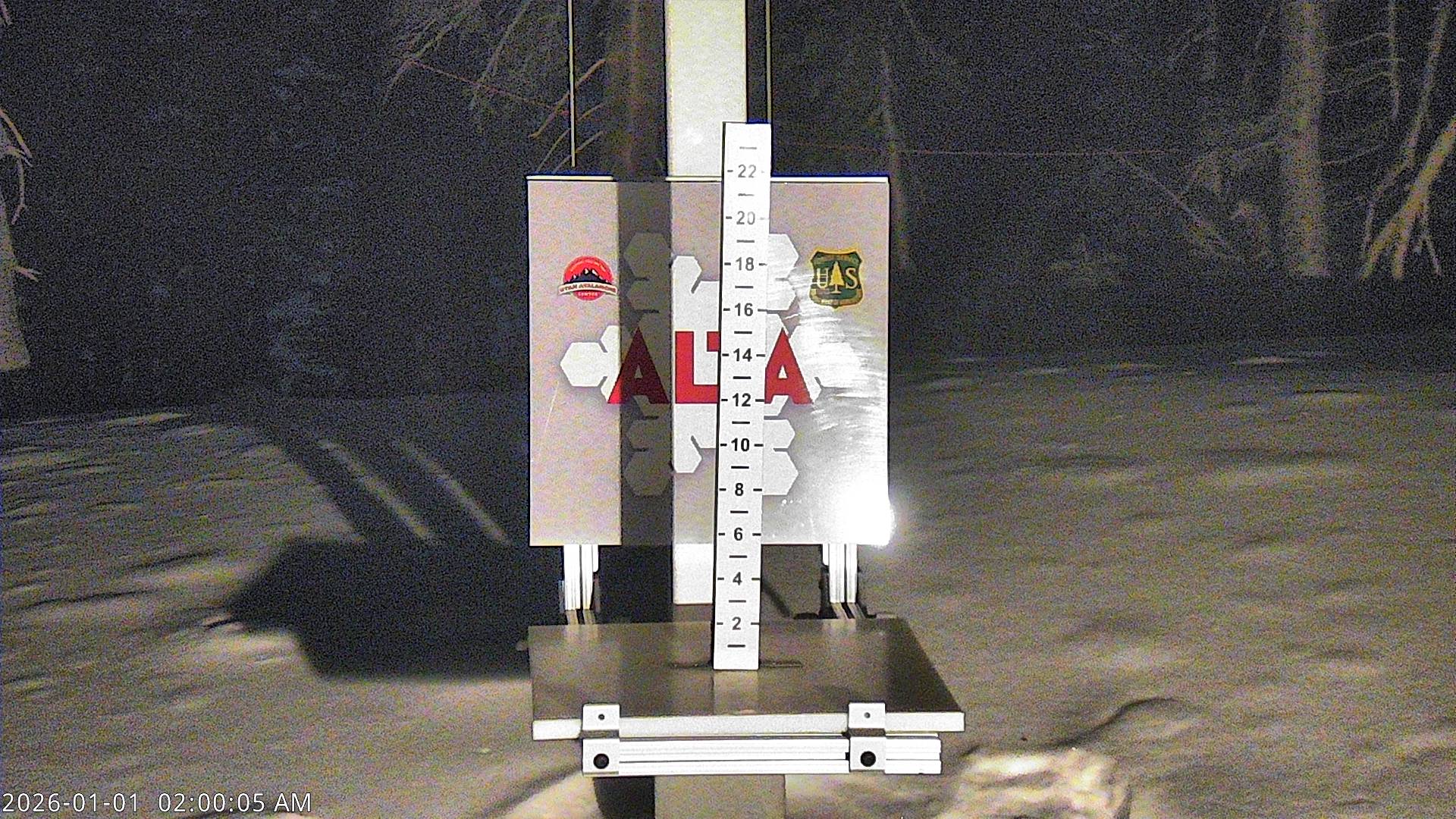 Alta Ski Area Collins Snow Stake