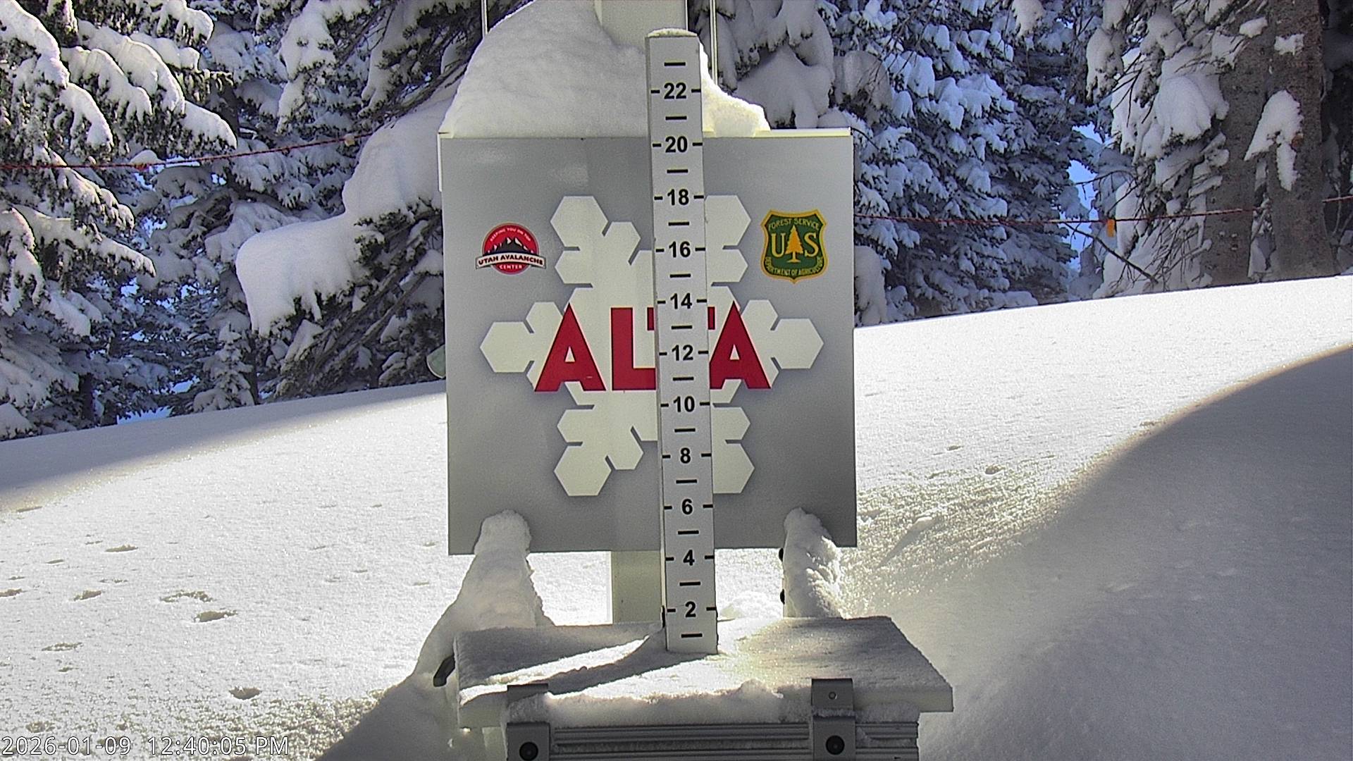 Alta Ski Area snow stake cam