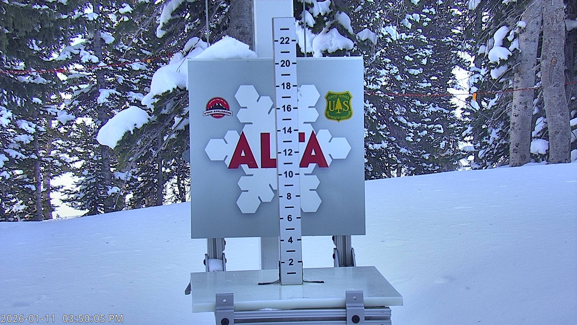 Alta Ski Area snow stake cam