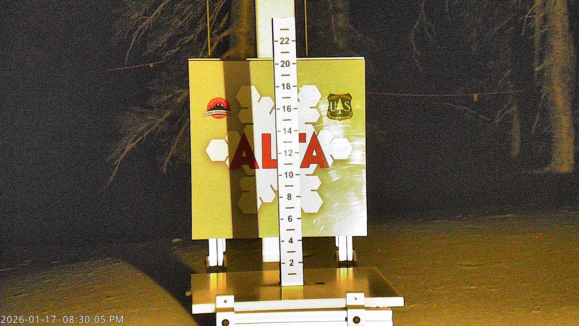 Alta Ski Area snow stake cam