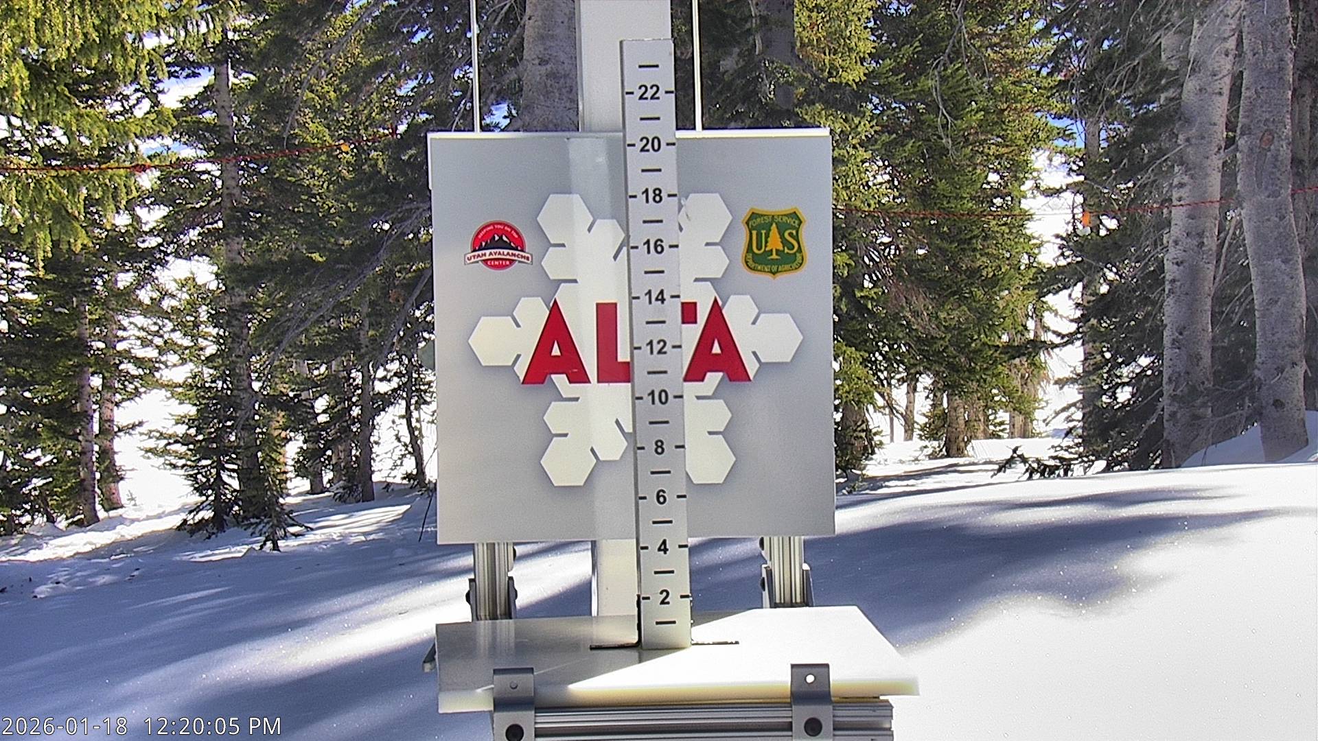 Alta Ski Area snow stake cam