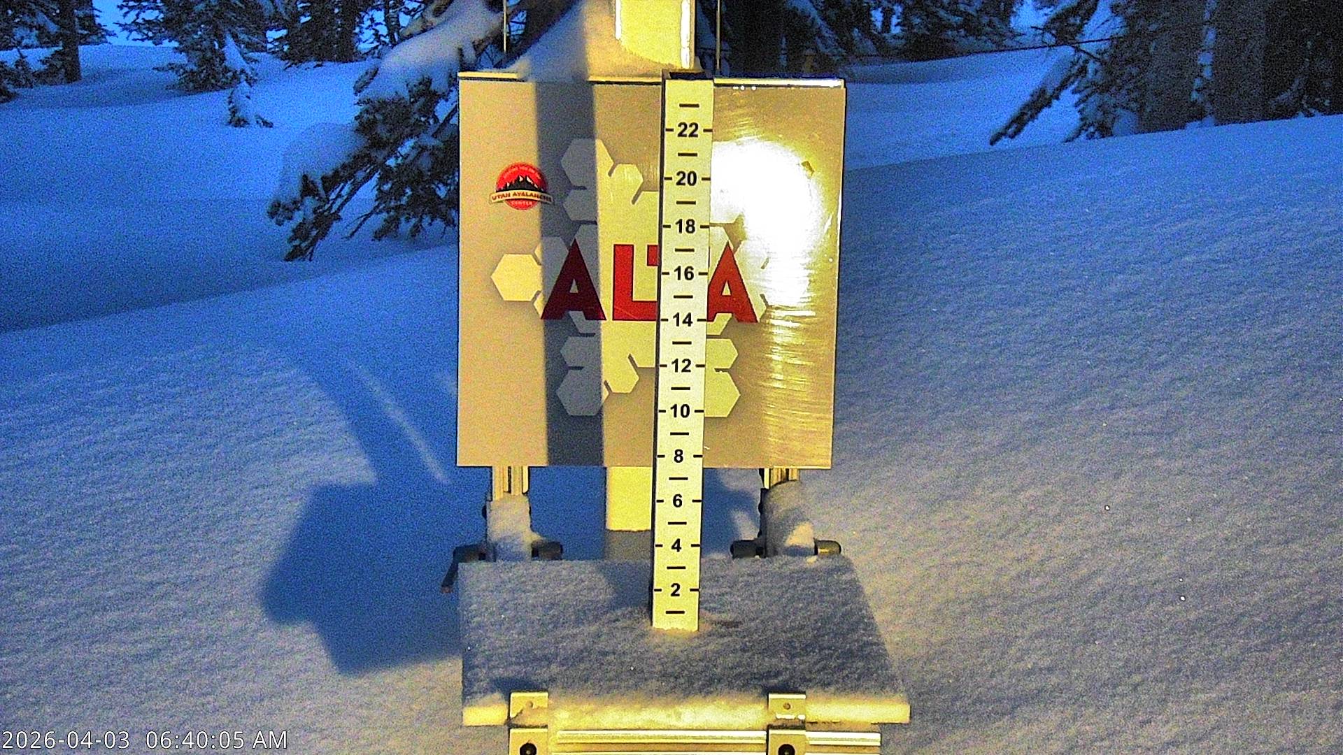 Alta Ski Area snow stake cam