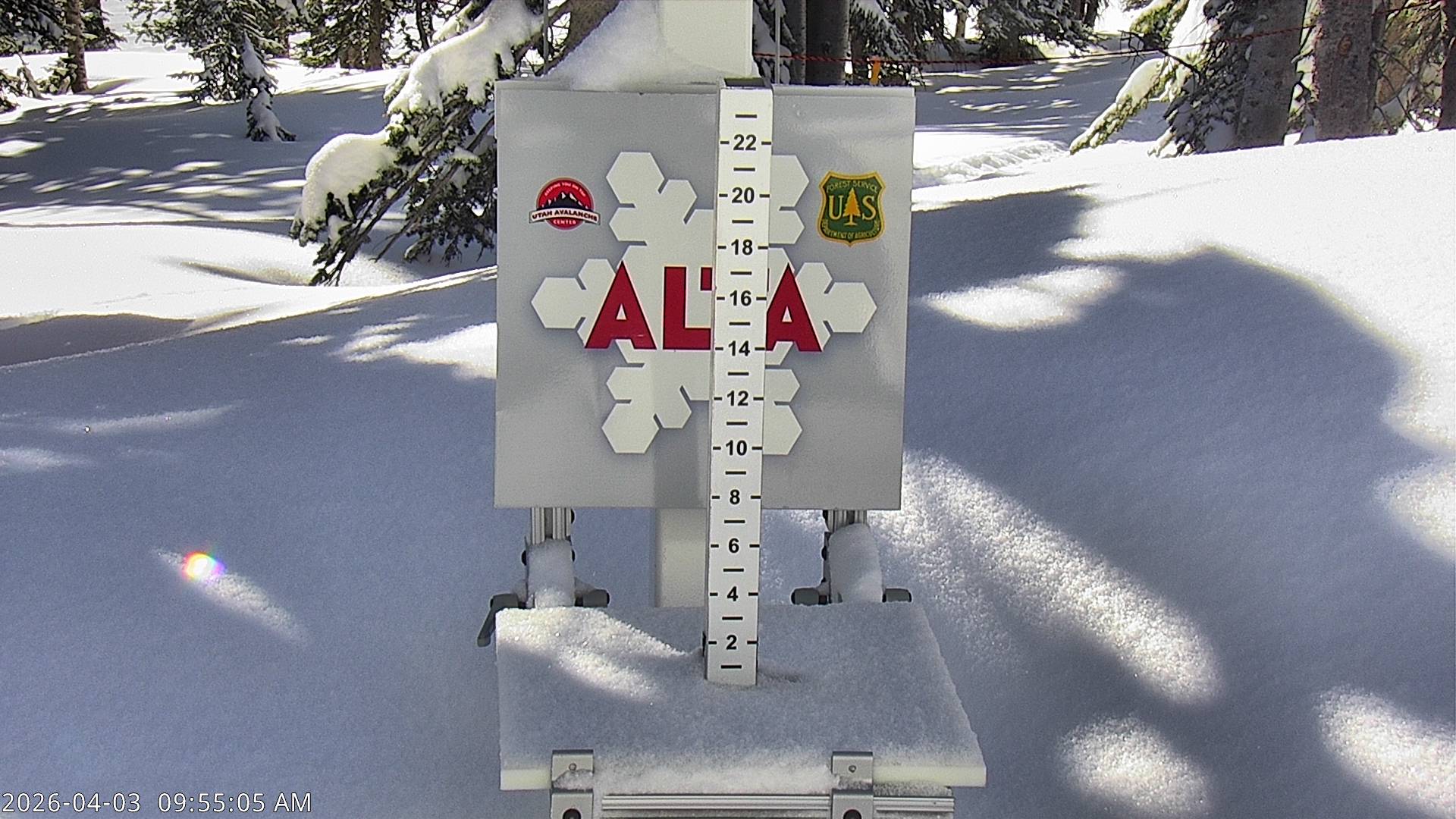 Alta Ski Area snow stake cam
