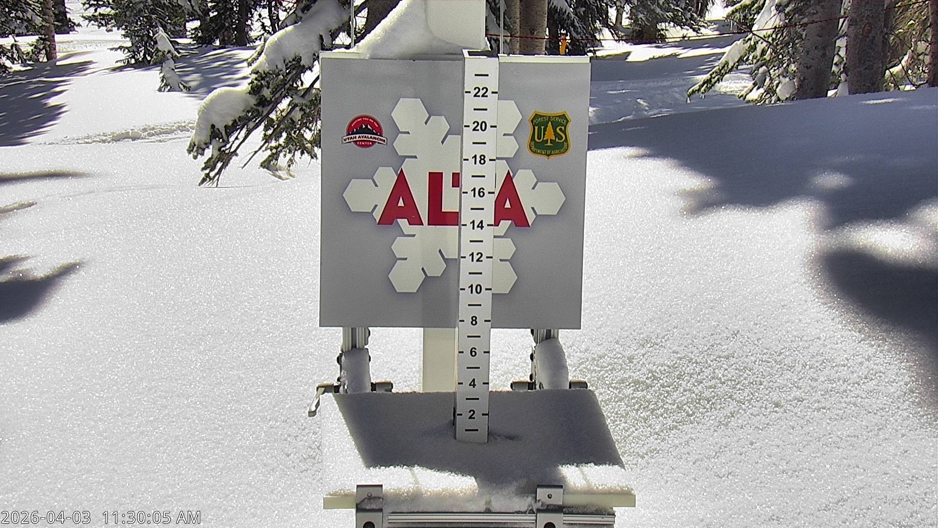 Alta Ski Area snow stake cam