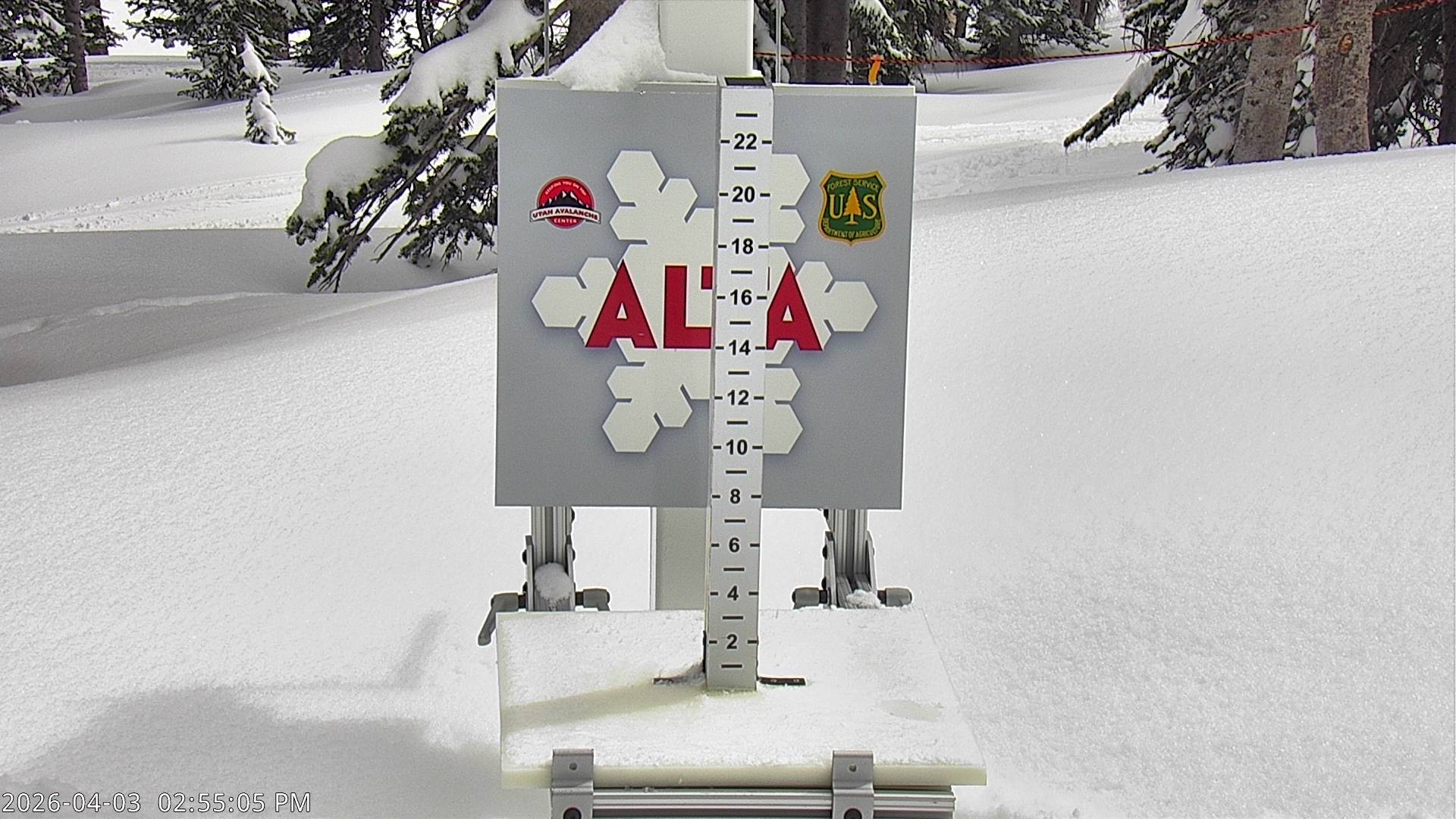 Alta Ski Area snow stake cam