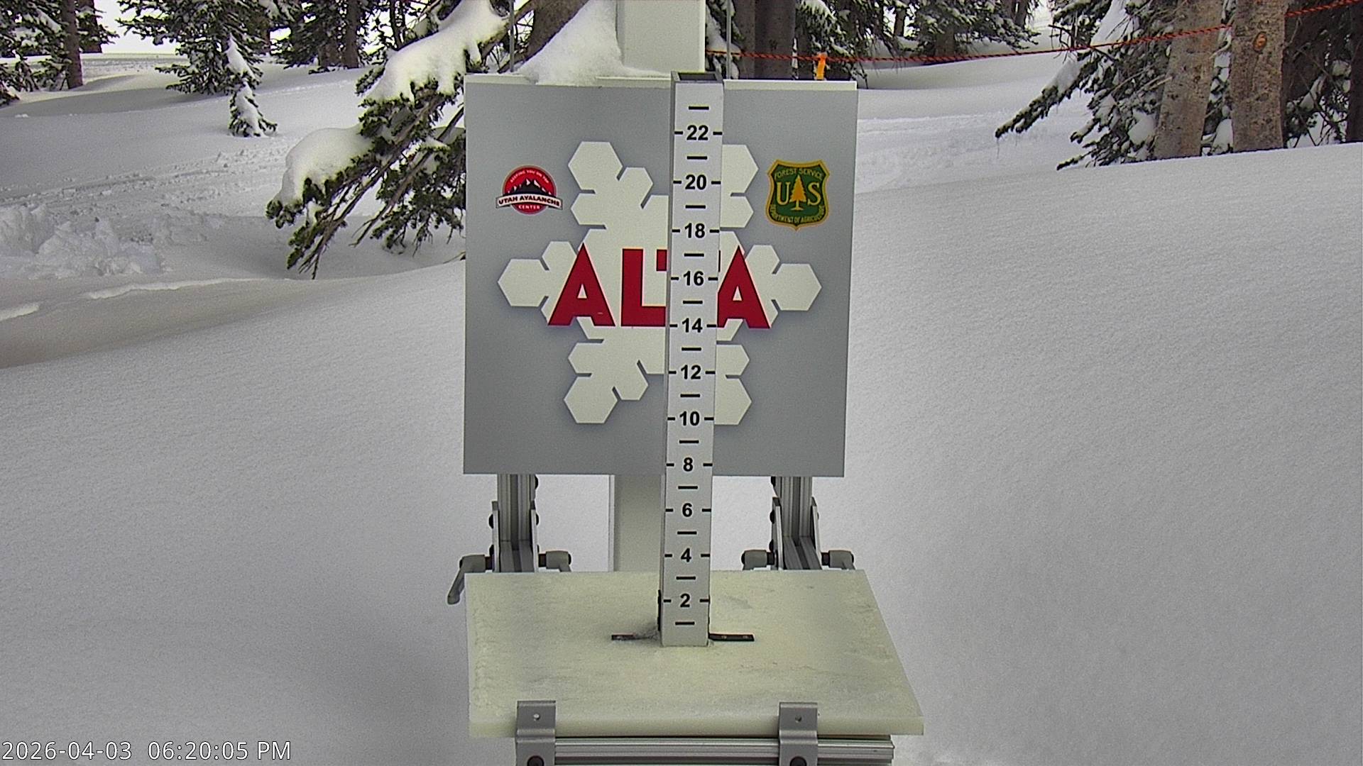 Alta Ski Area snow stake cam