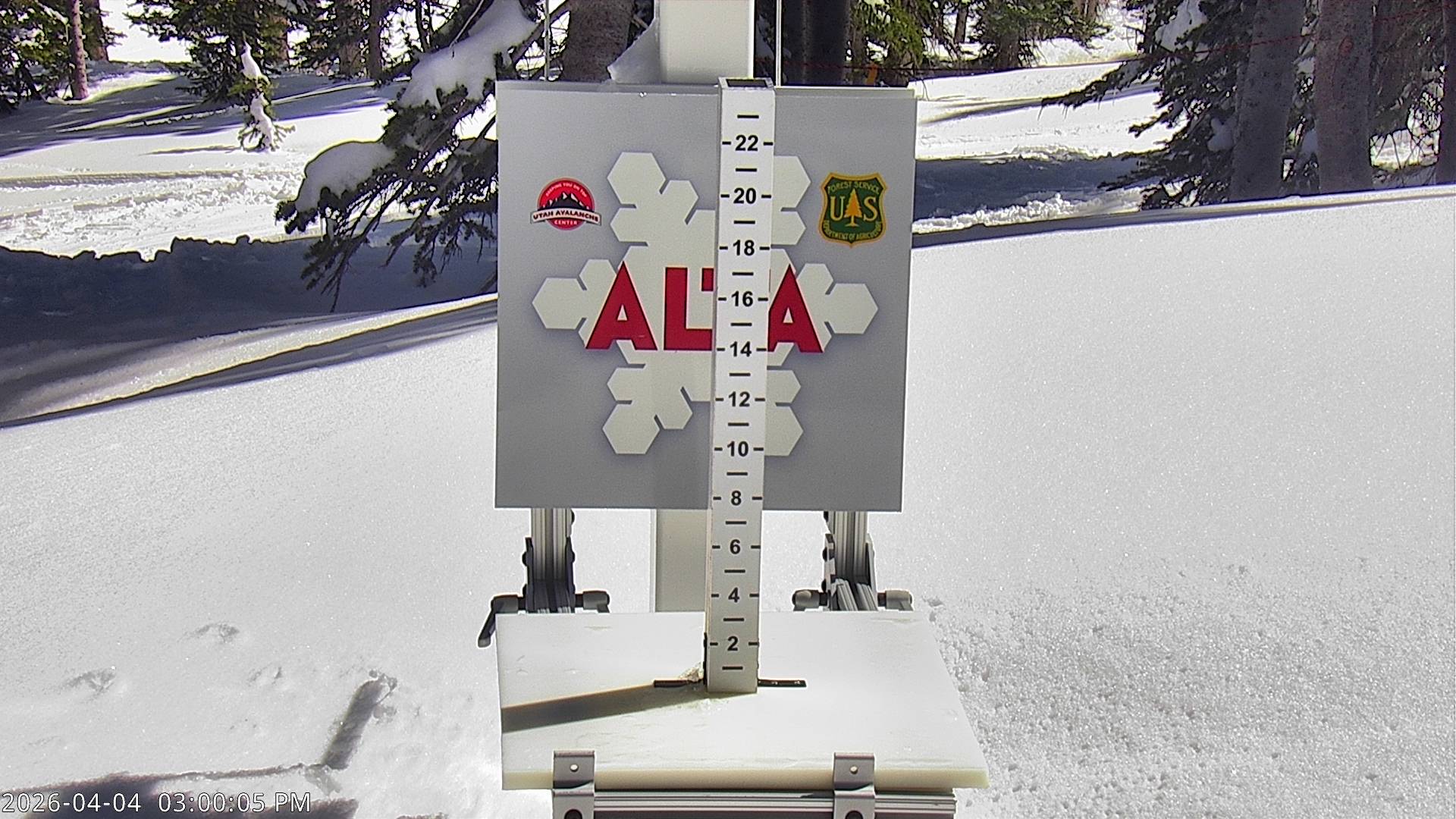 Alta Ski Area snow stake cam