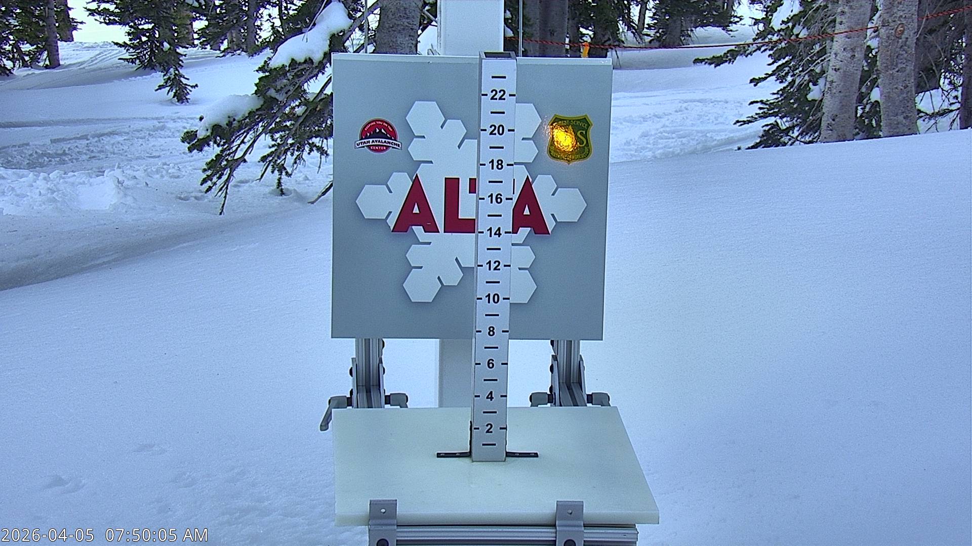 Alta Ski Area snow stake cam