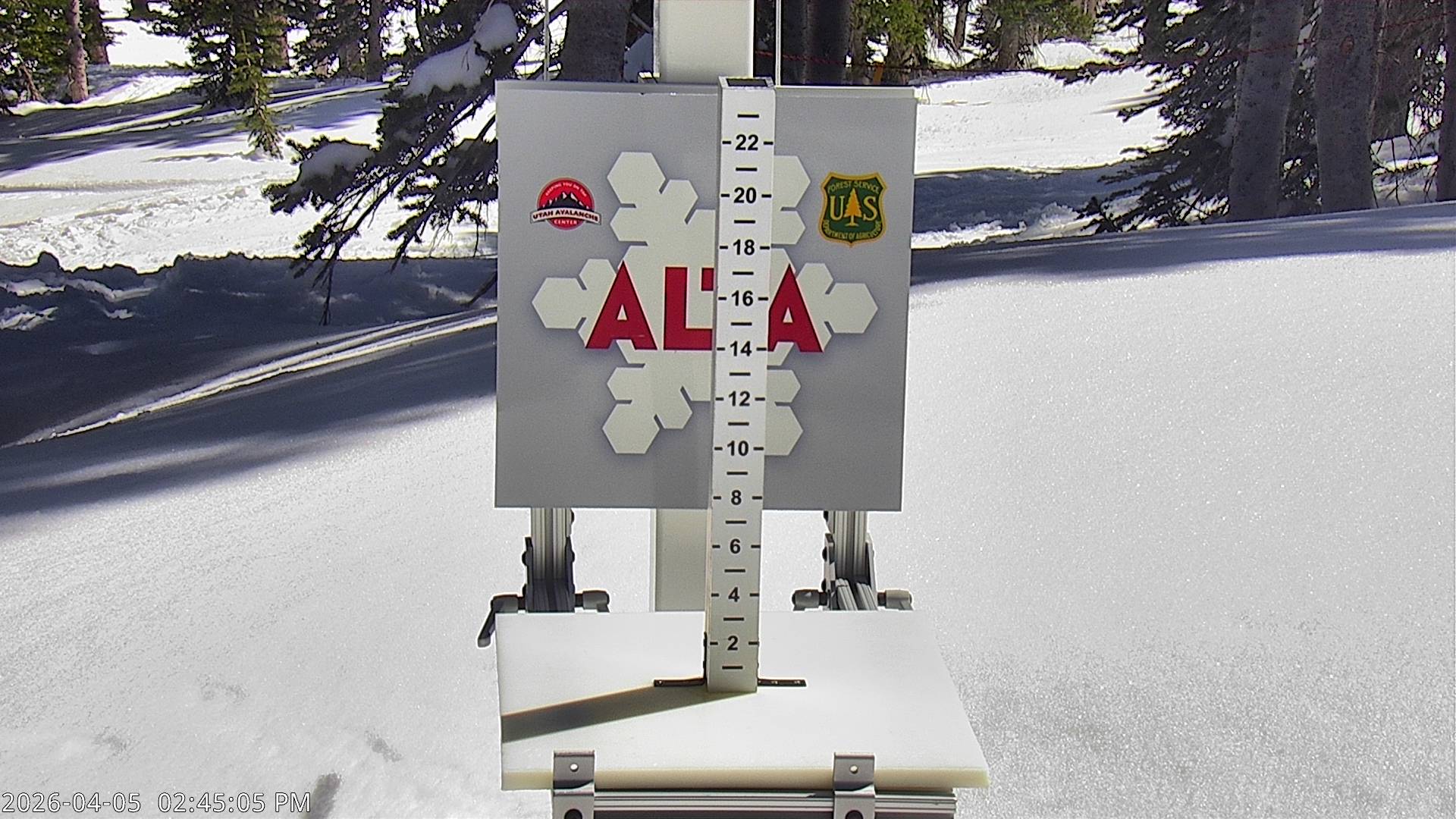 Alta Ski Area snow stake cam