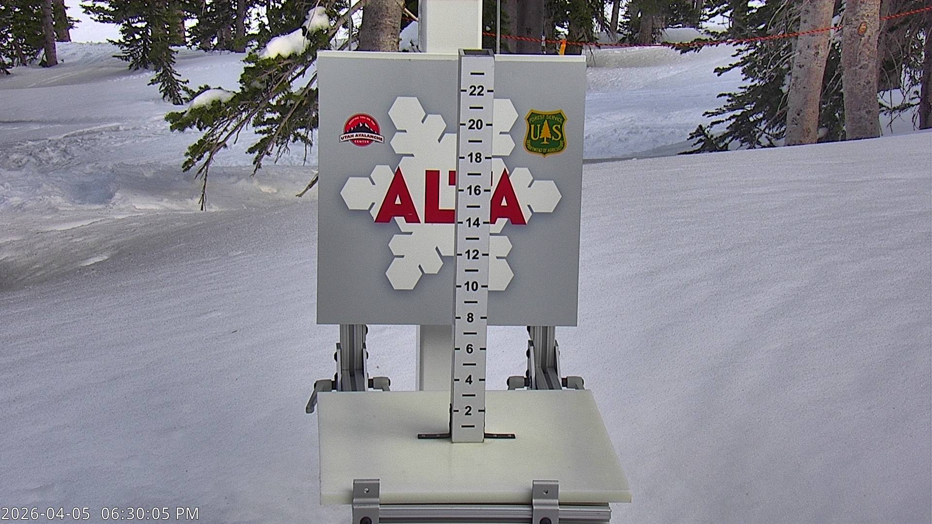 Alta Ski Area snow stake cam