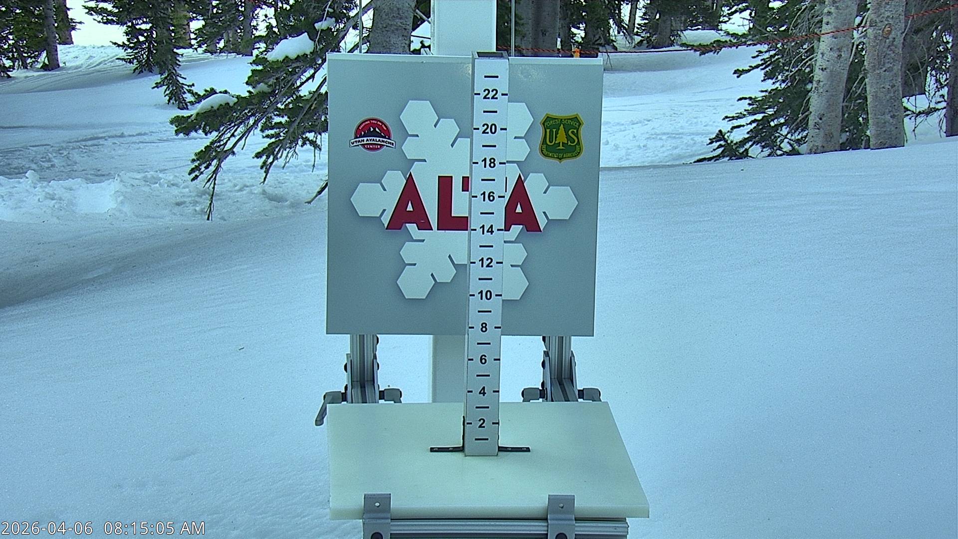 Alta Ski Area snow stake cam