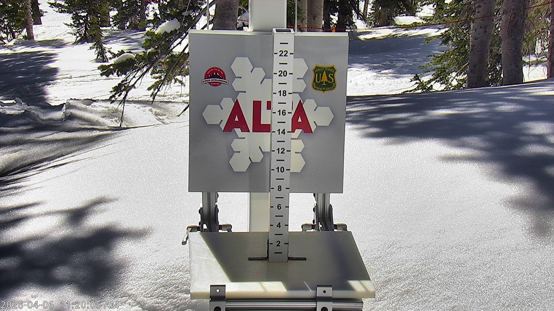 Alta Ski Area snow stake cam