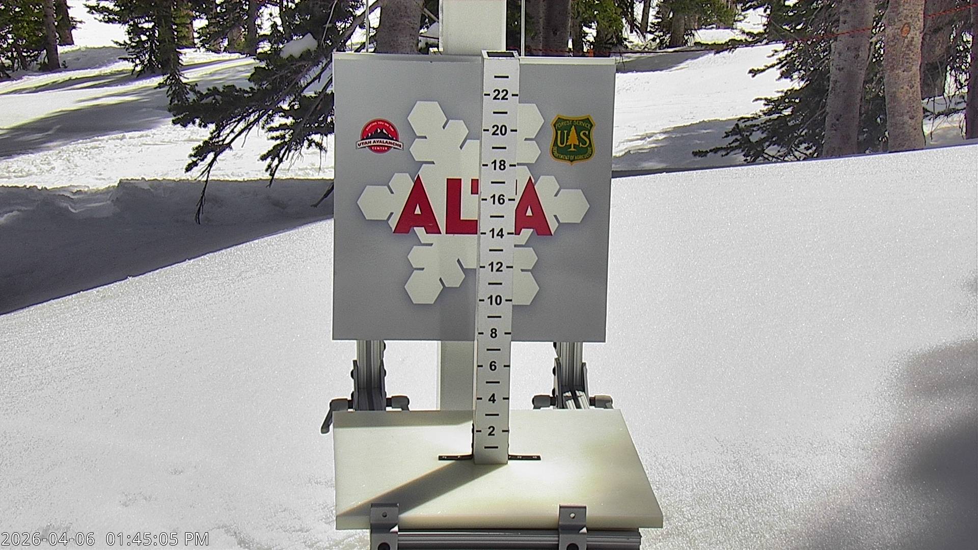 Alta Ski Area snow stake cam