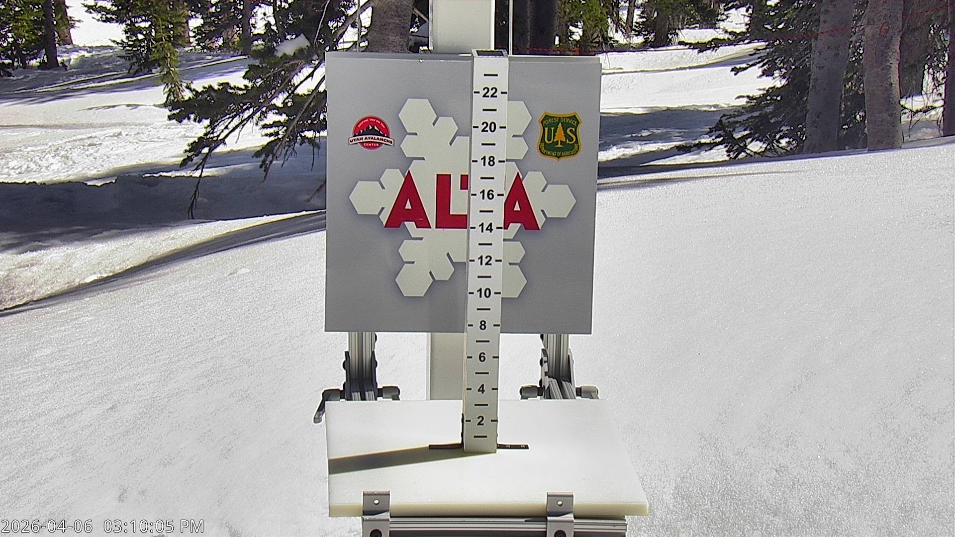 Alta Ski Area snow stake cam