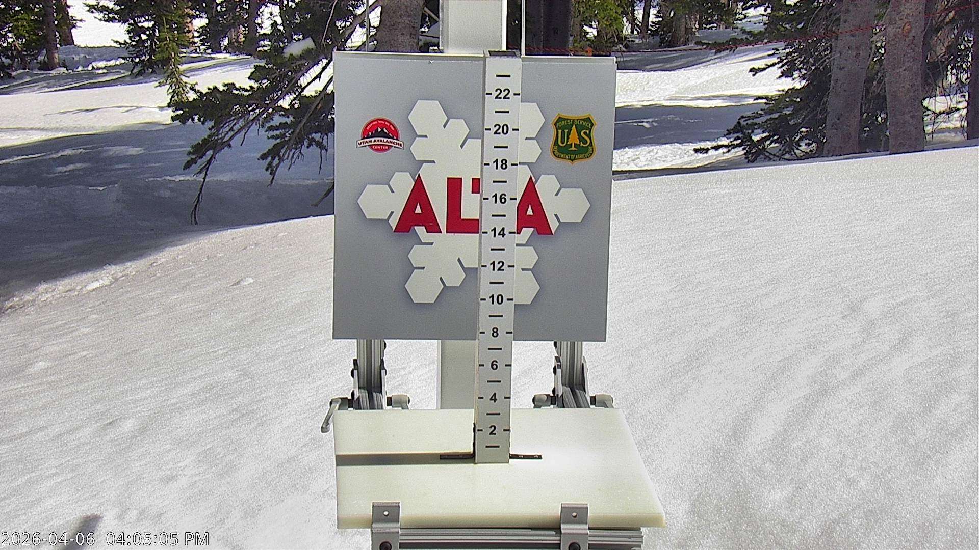 Alta Ski Area Collins Snow Stake