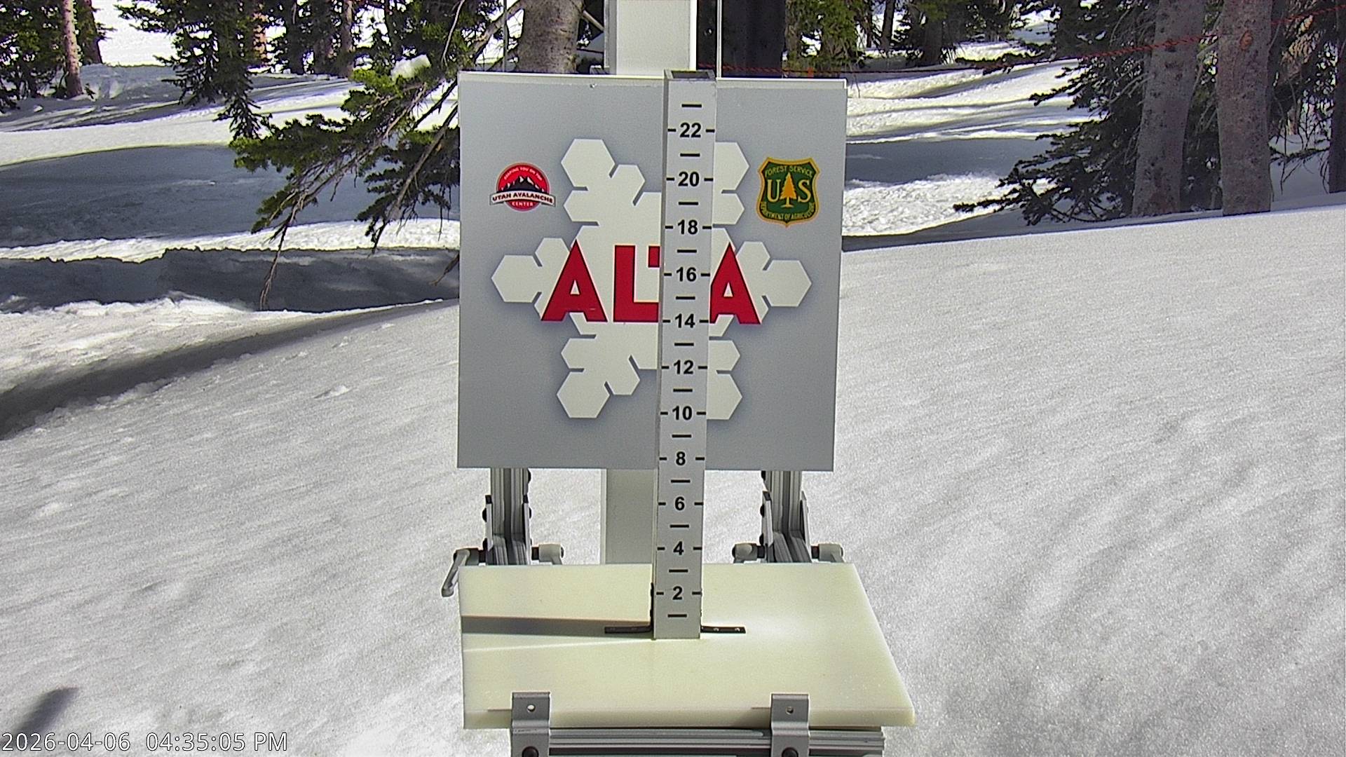 Alta Ski Area snow stake cam