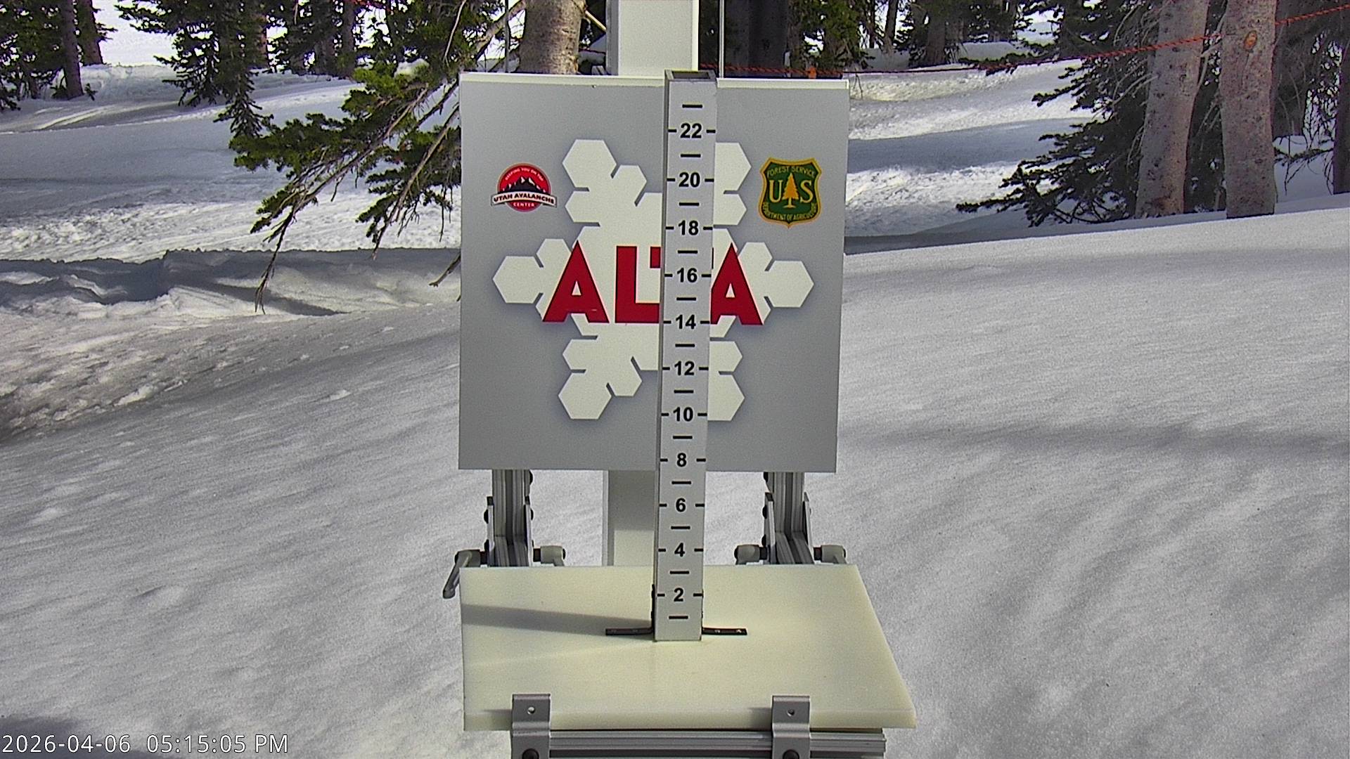 Alta Ski Area Collins Snow Stake