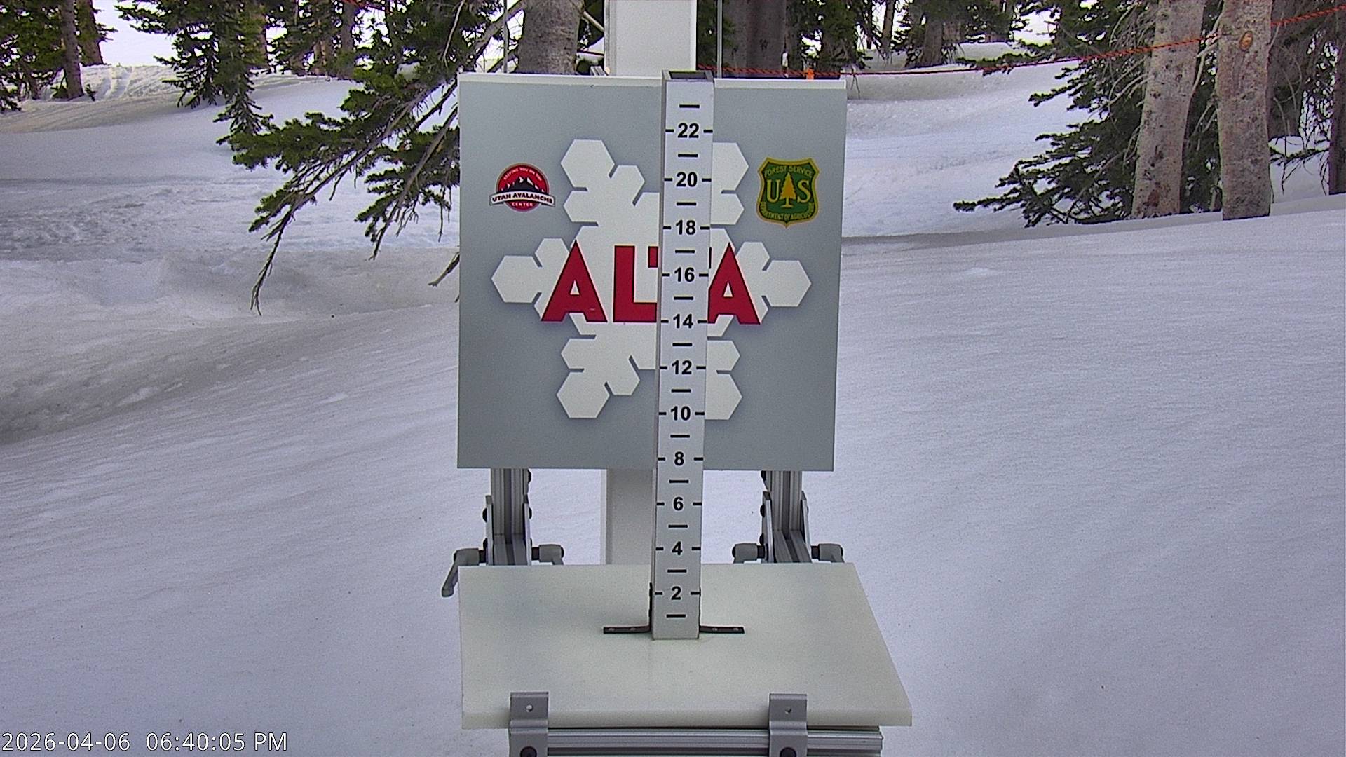 Alta Ski Area snow stake cam