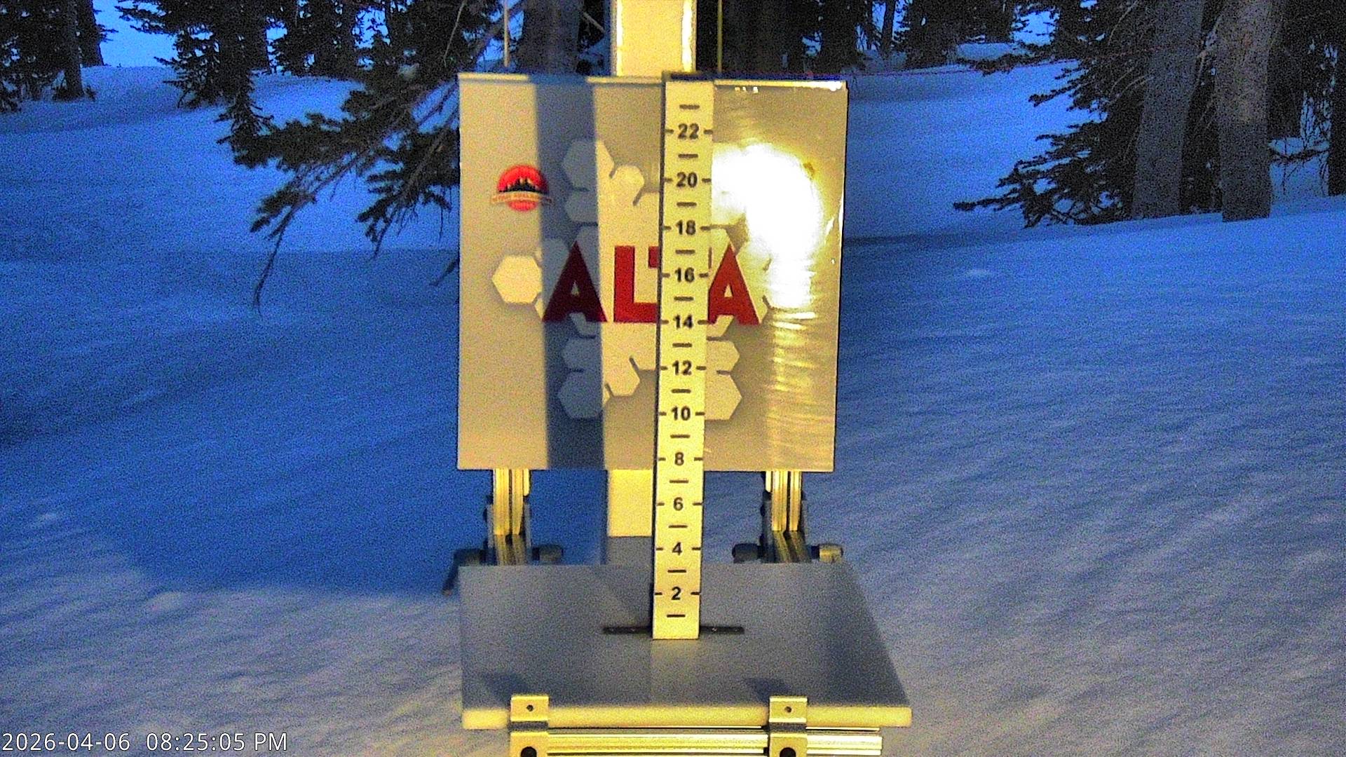 Alta Ski Area snow stake cam
