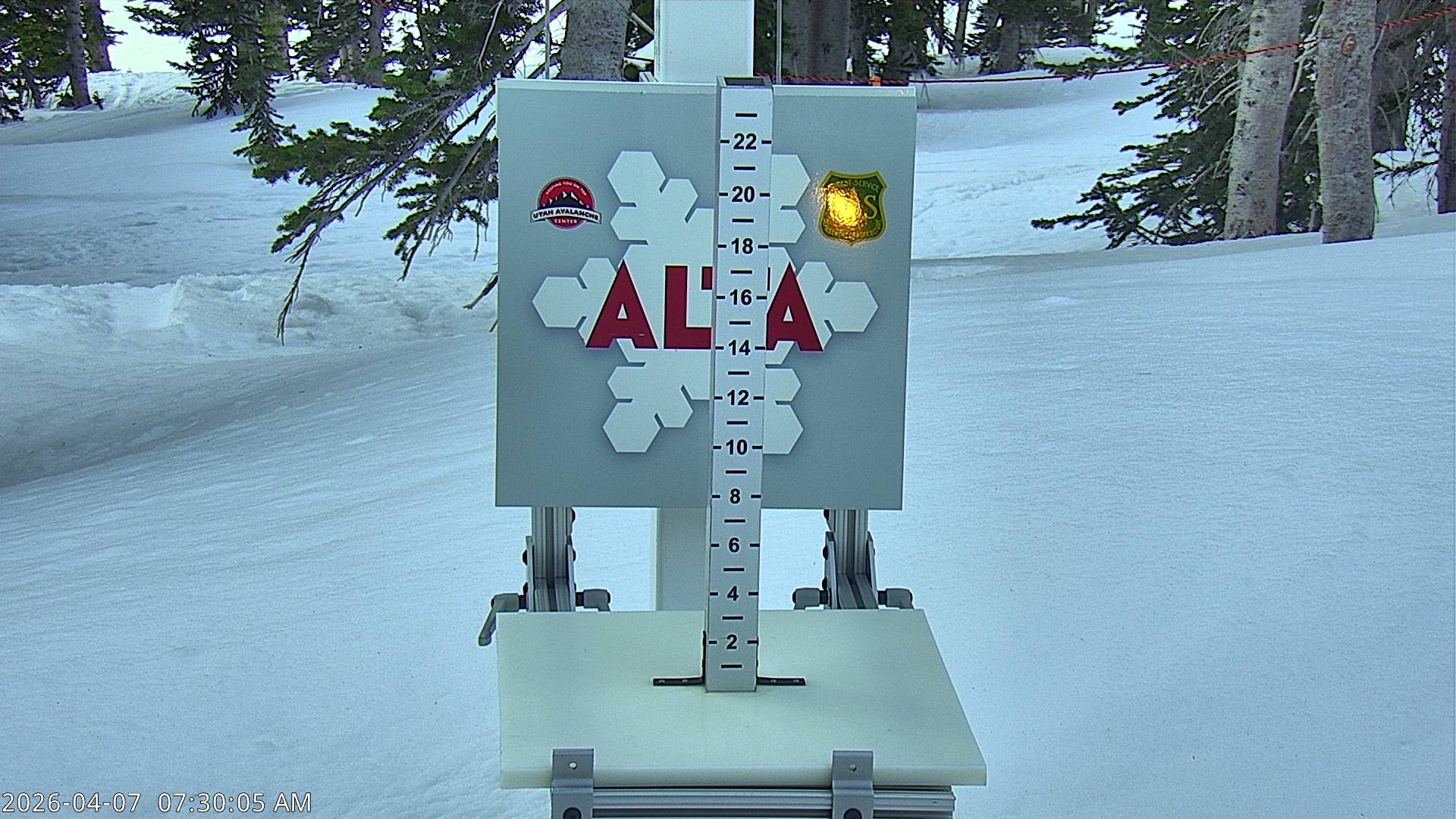 Alta Ski Area snow stake cam