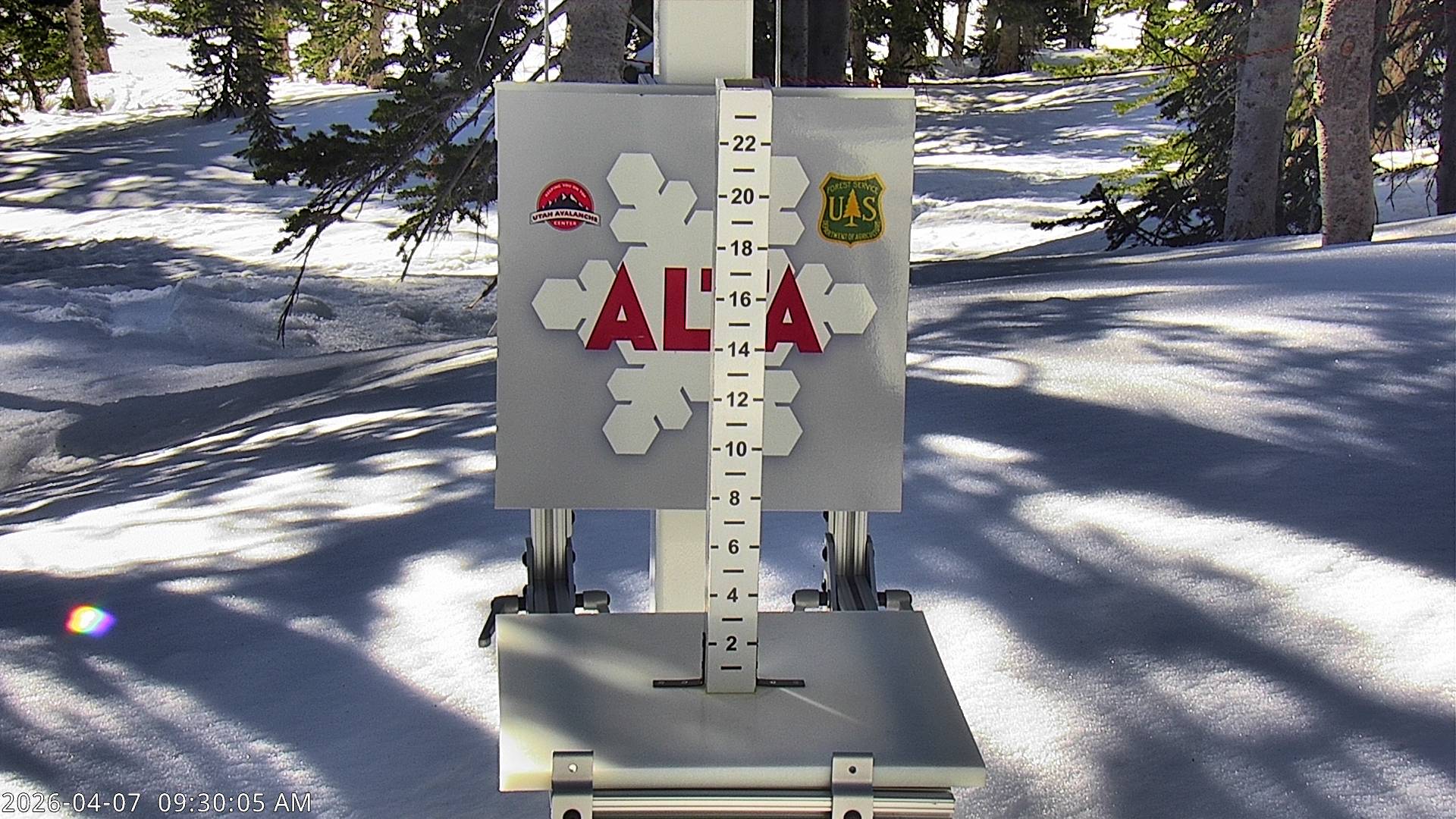 Alta Ski Area snow stake cam