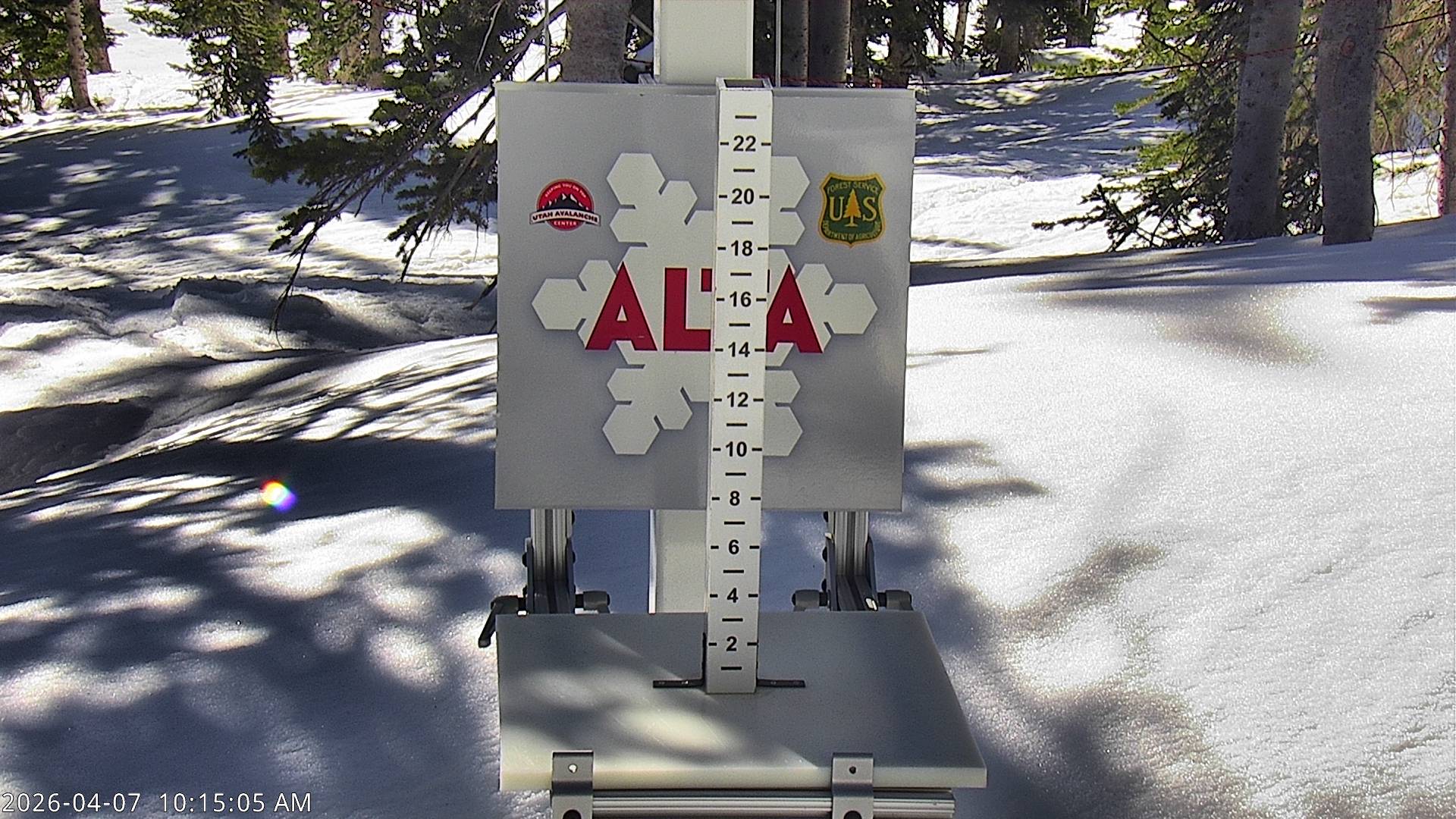Alta Ski Area snow stake cam