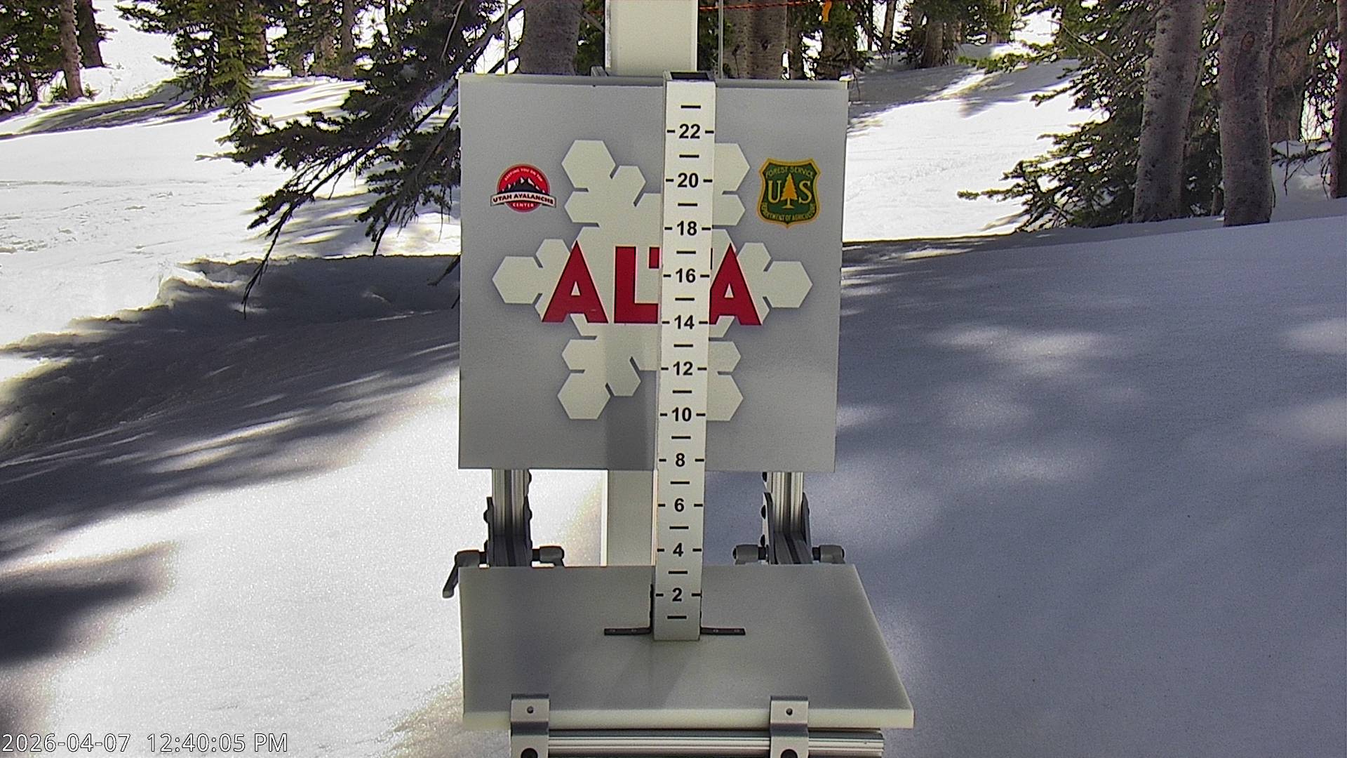 Alta Ski Area snow stake cam
