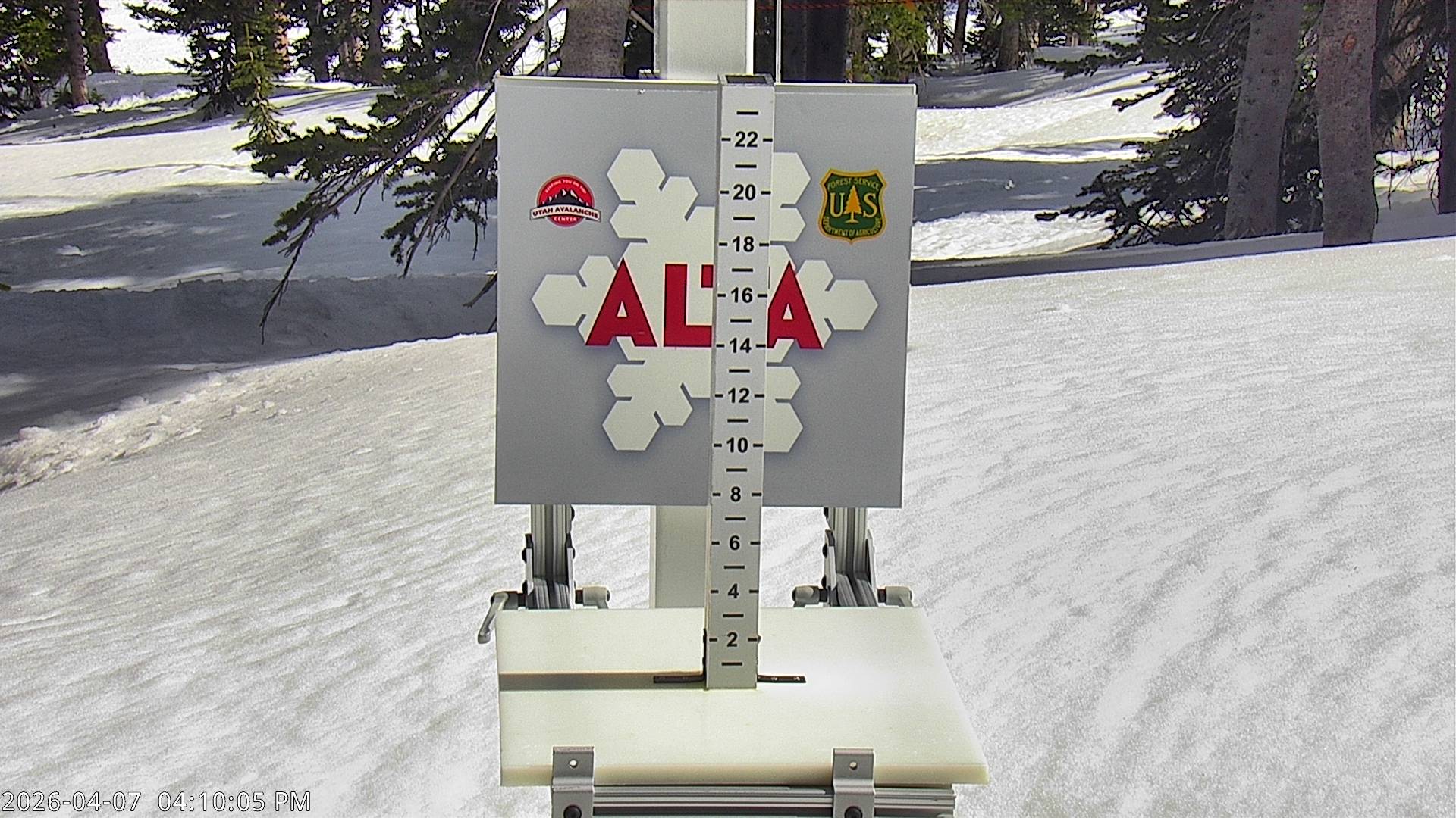 Alta Ski Area snow stake cam