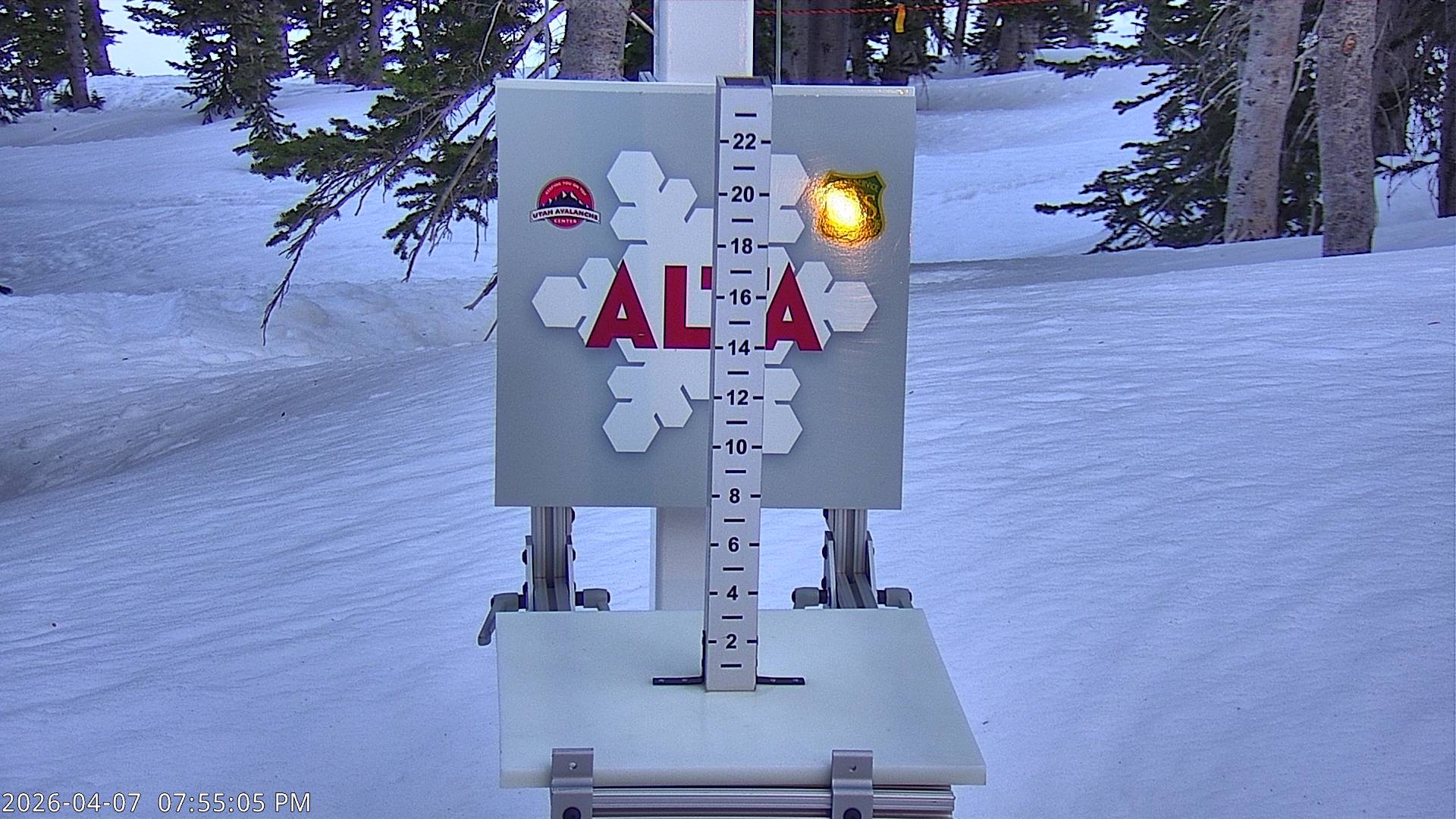 Alta Ski Area snow stake cam