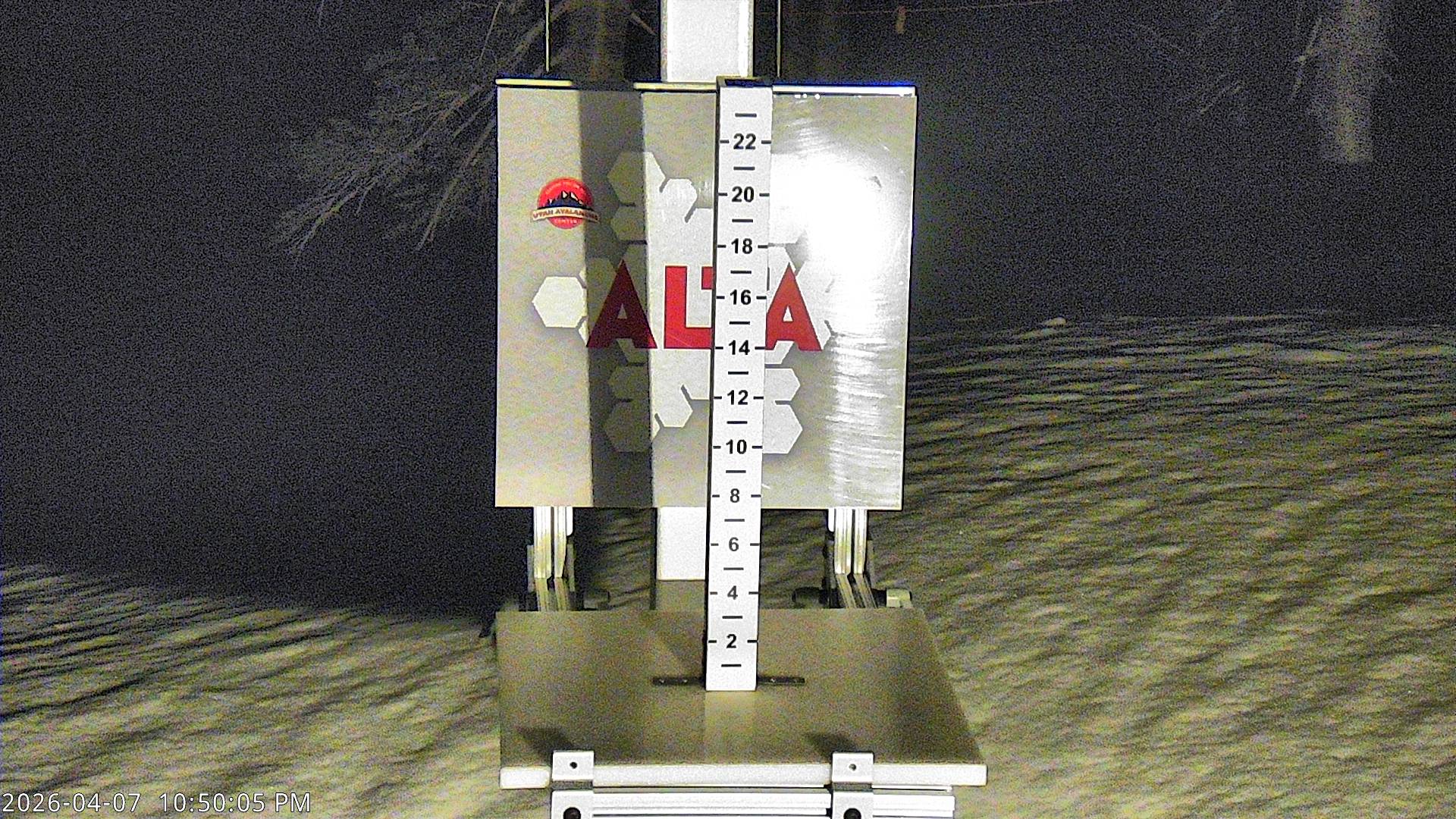 Alta Ski Area snow stake cam
