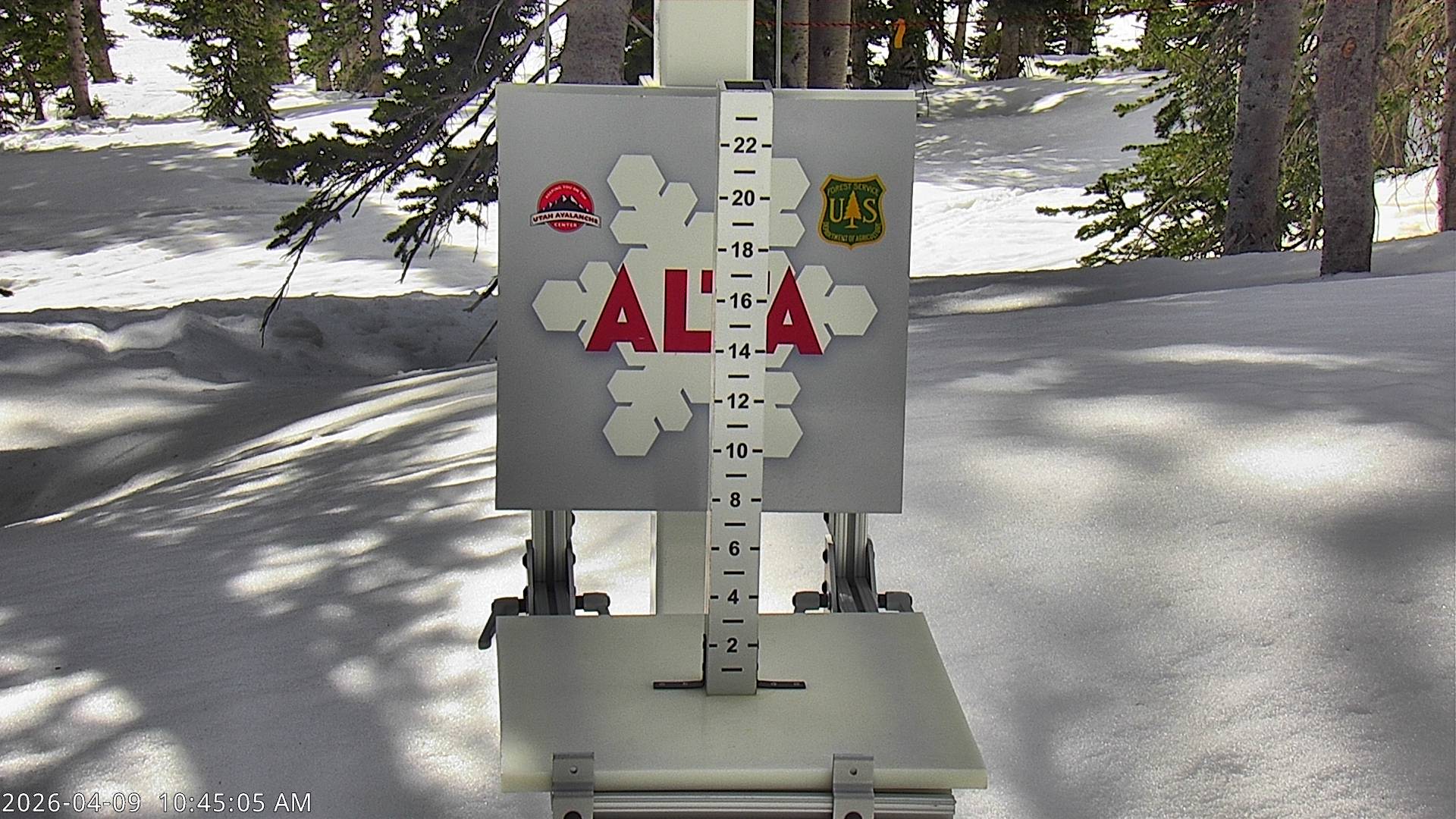 Alta Ski Area snow stake cam