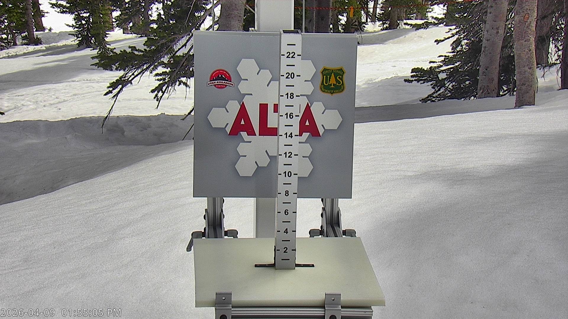 Alta Ski Area snow stake cam