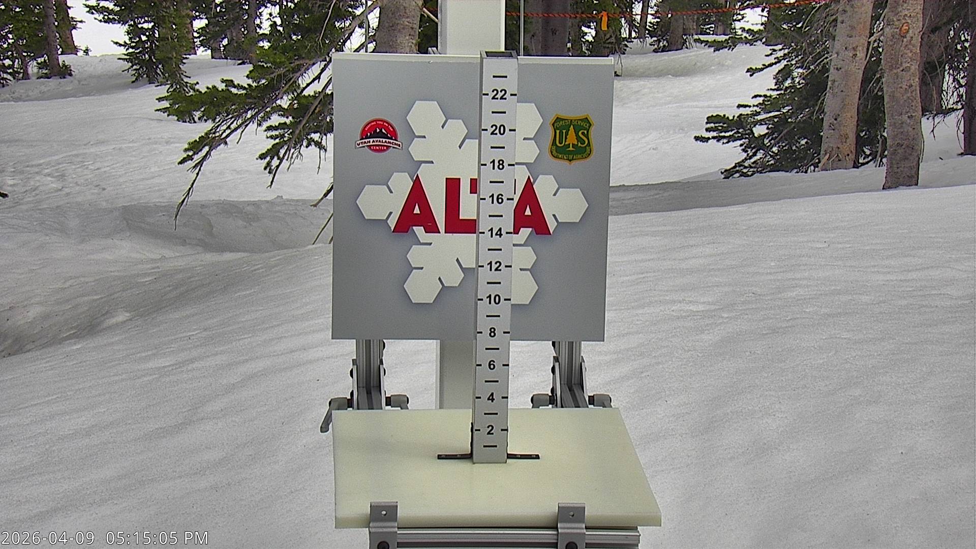 Alta Ski Area snow stake cam