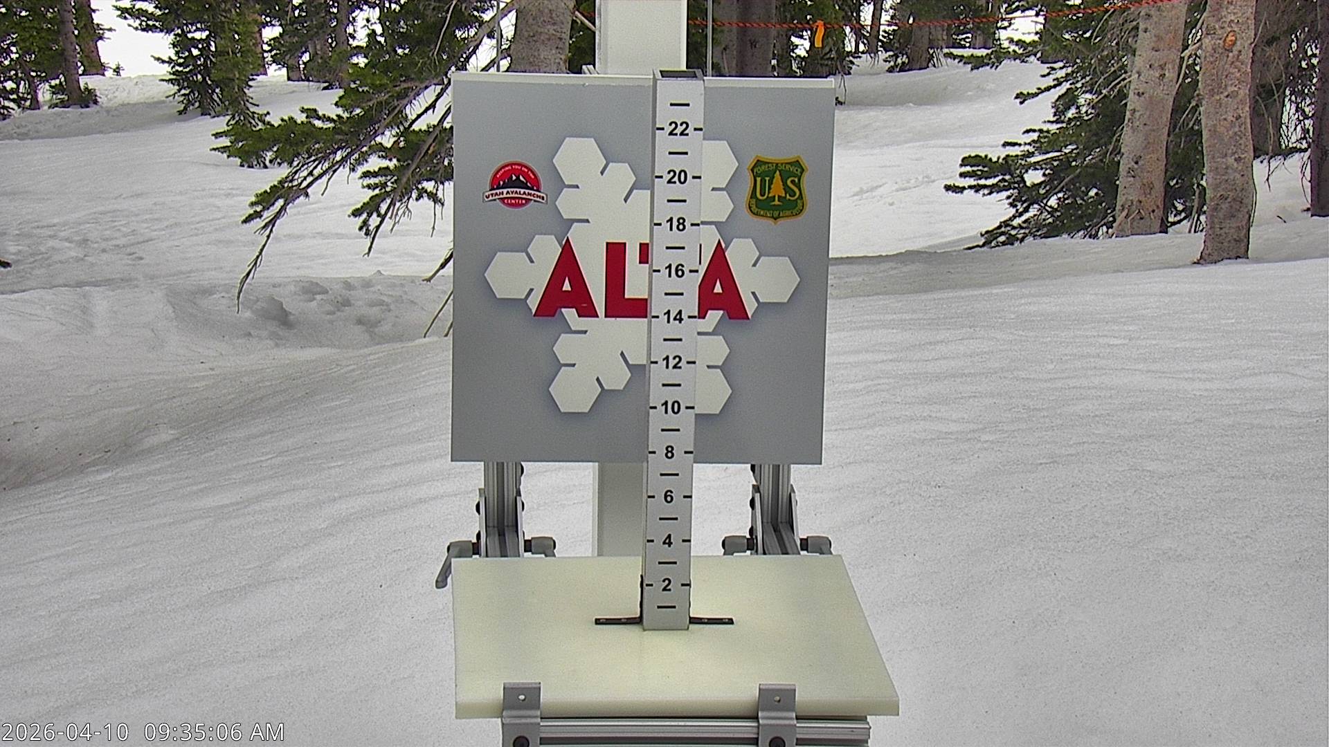 Alta Ski Area snow stake cam