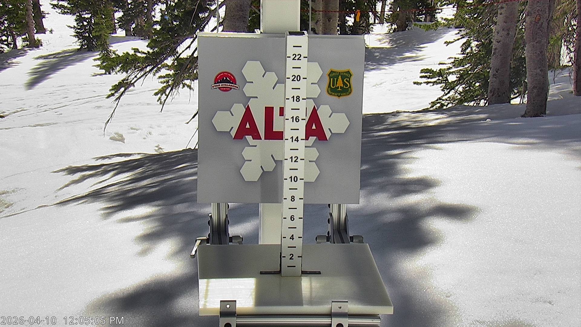 Alta Ski Area snow stake cam