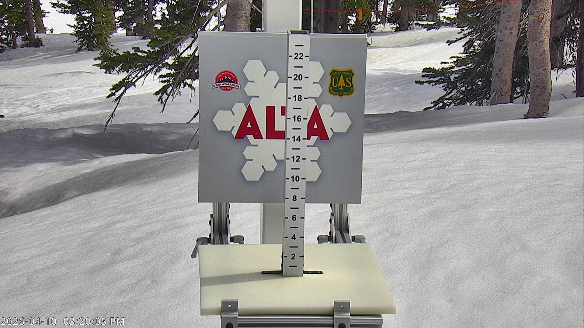 Alta Ski Area snow stake cam