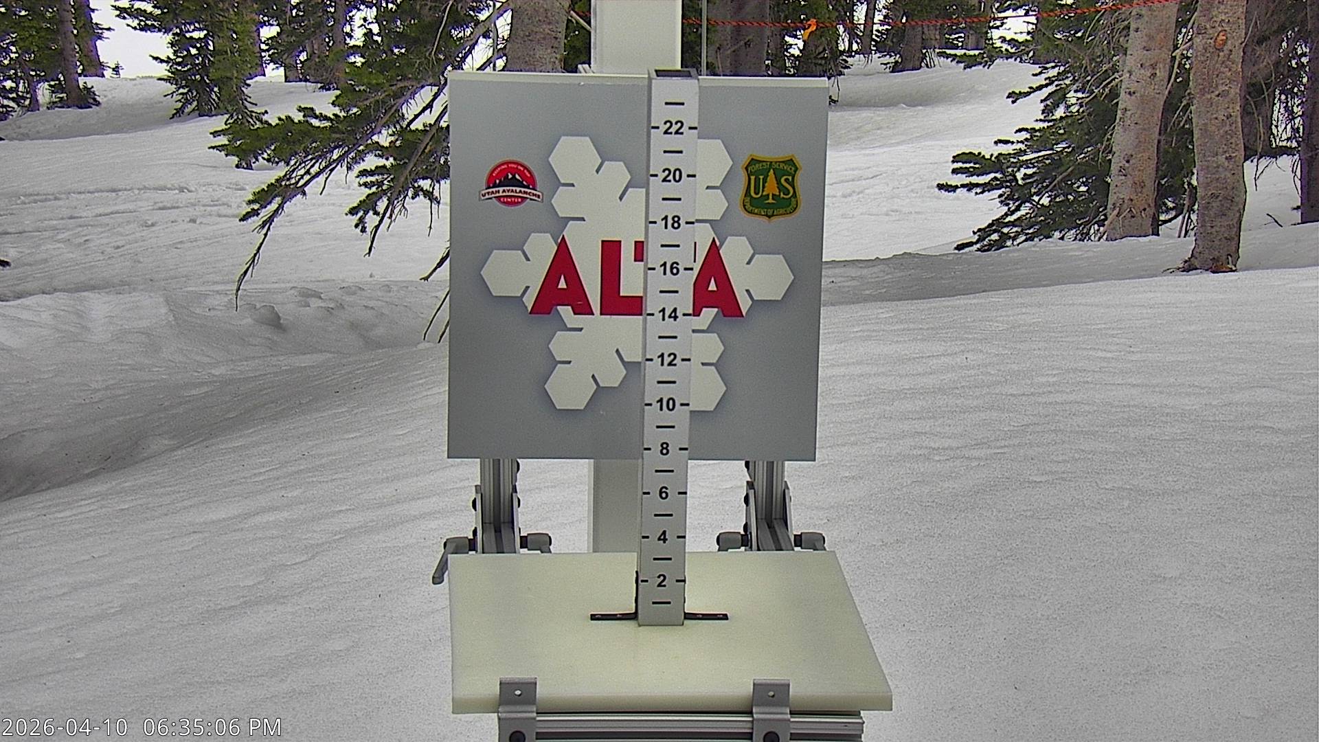 Alta Ski Area snow stake cam