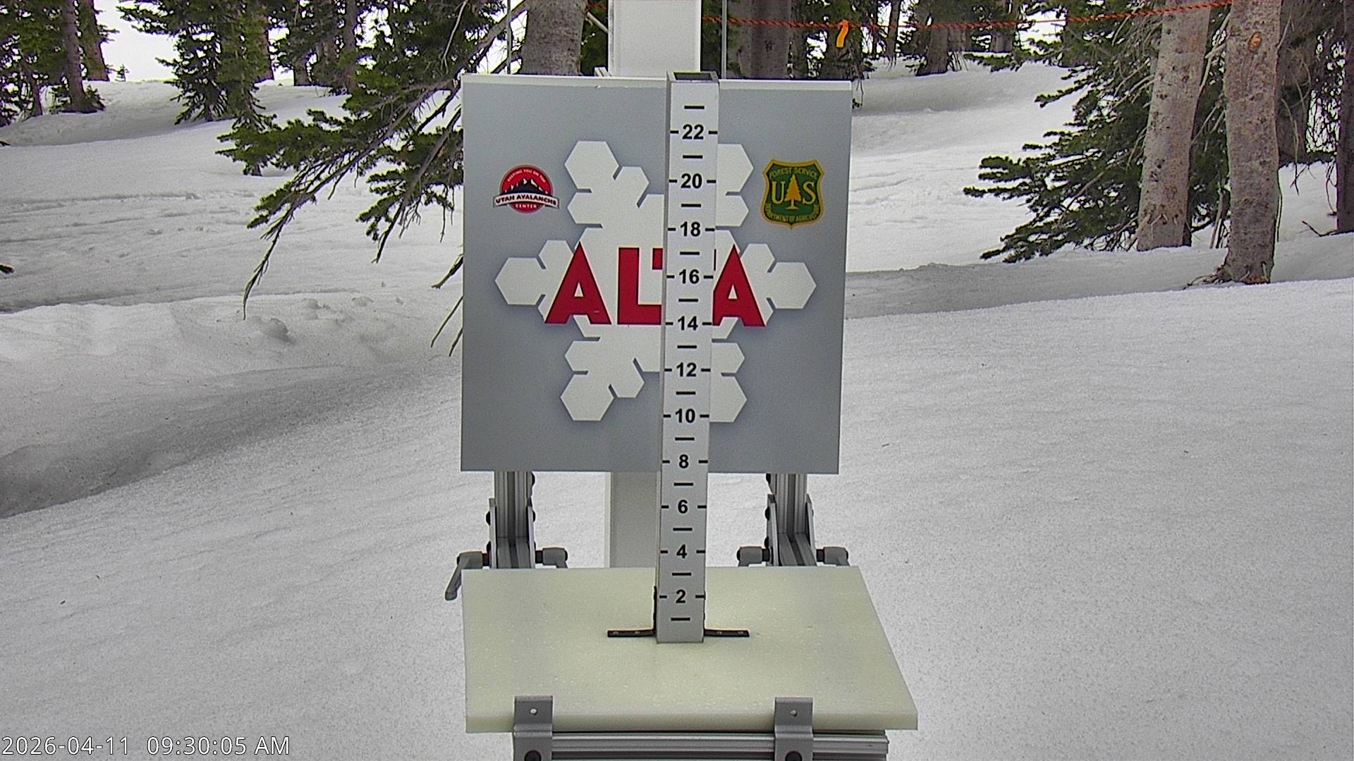 Alta Ski Area snow stake cam