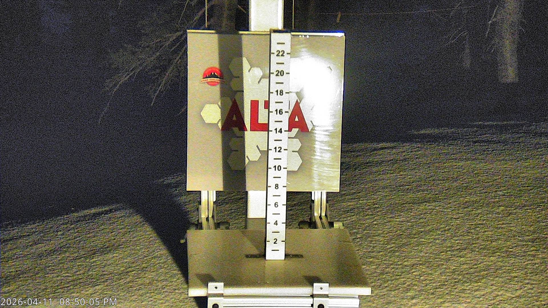Alta Ski Area snow stake cam
