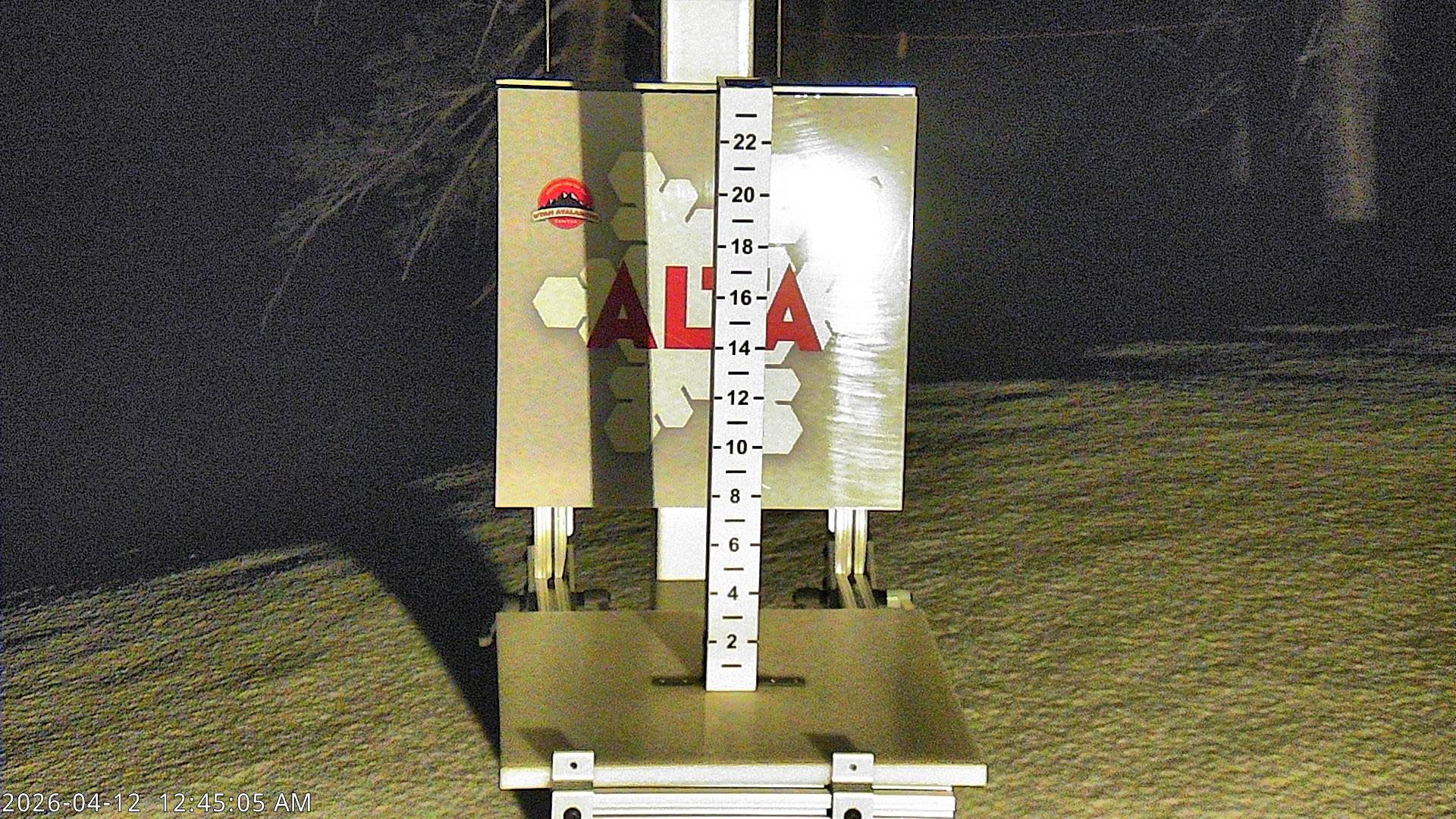 Alta Ski Area snow stake cam