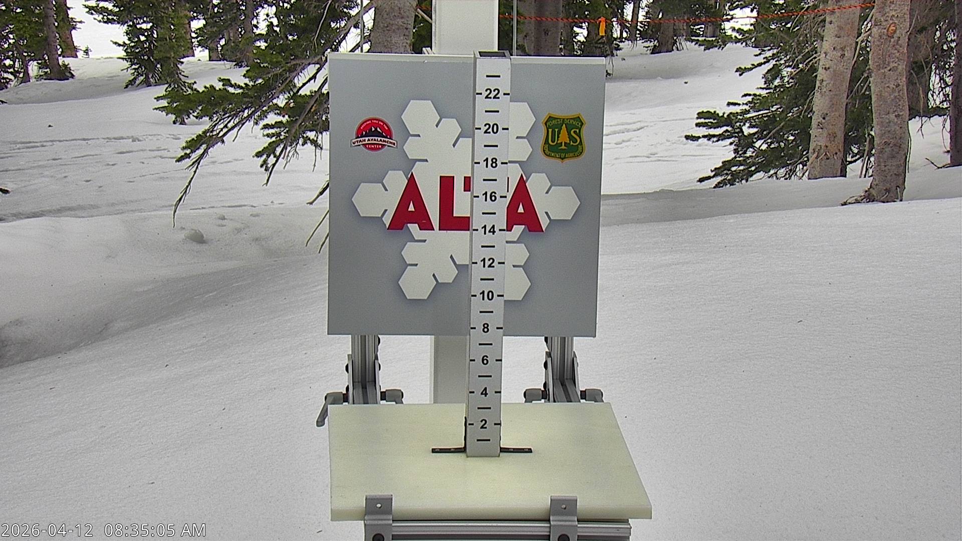 Alta Ski Area snow stake cam