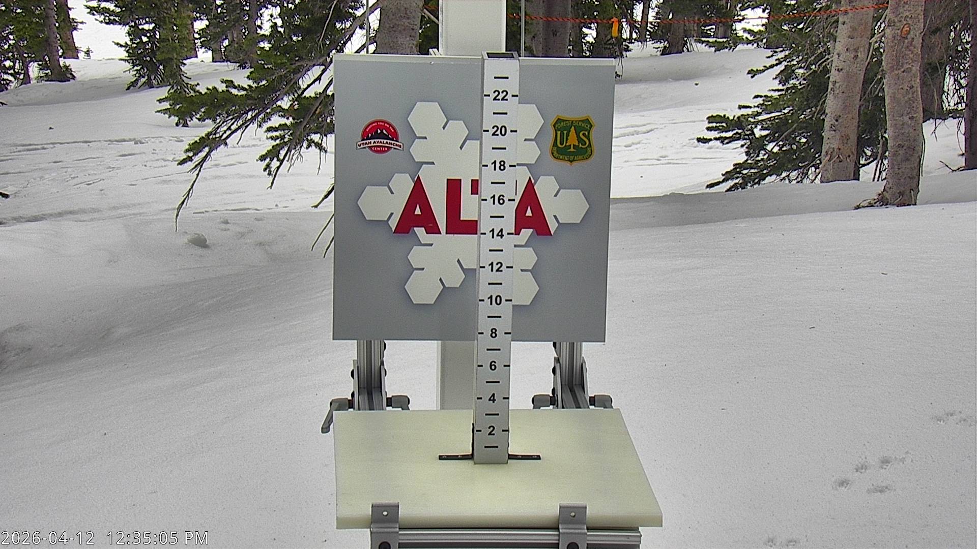 Alta Ski Area snow stake cam