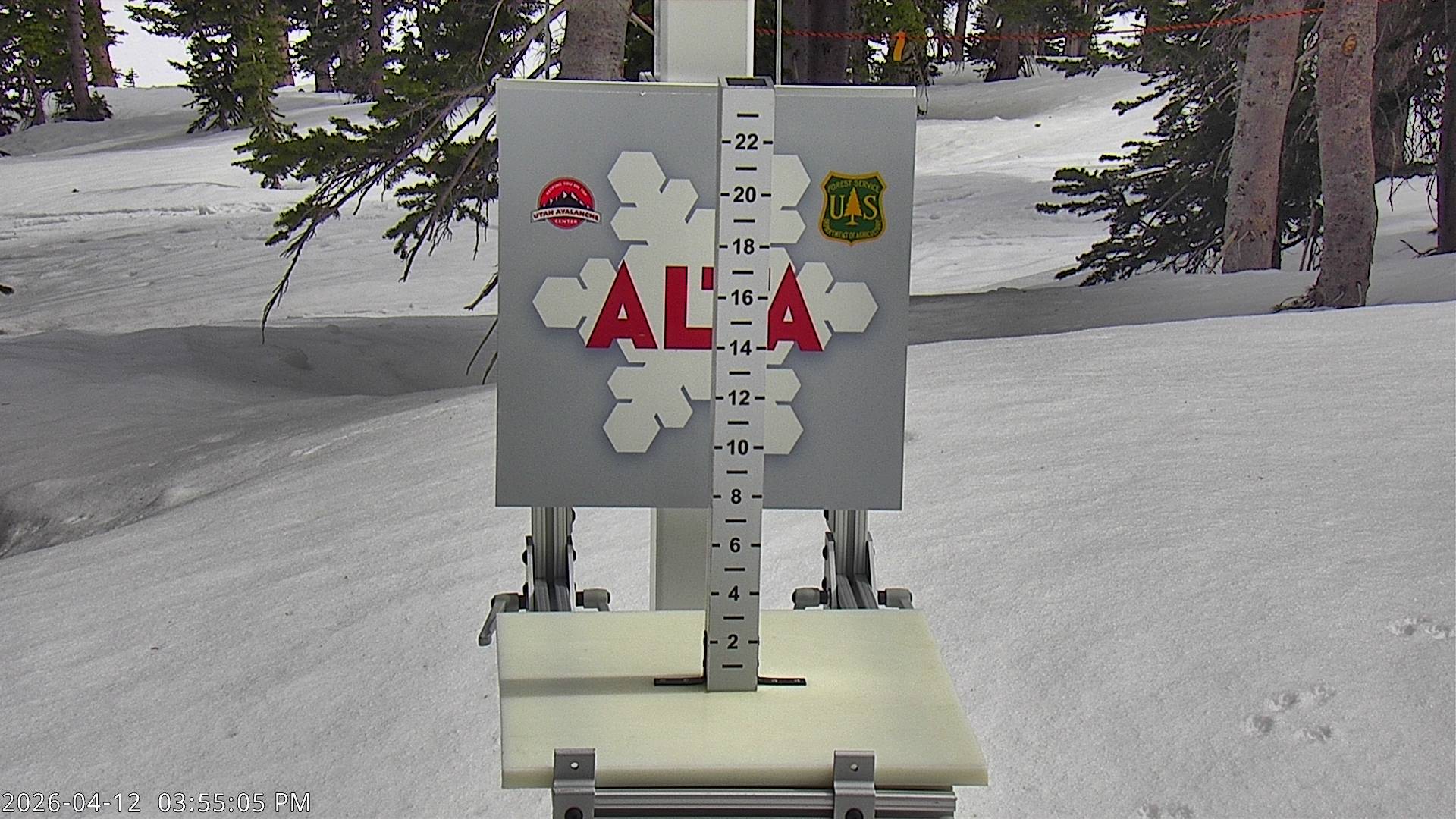 Alta Ski Area snow stake cam