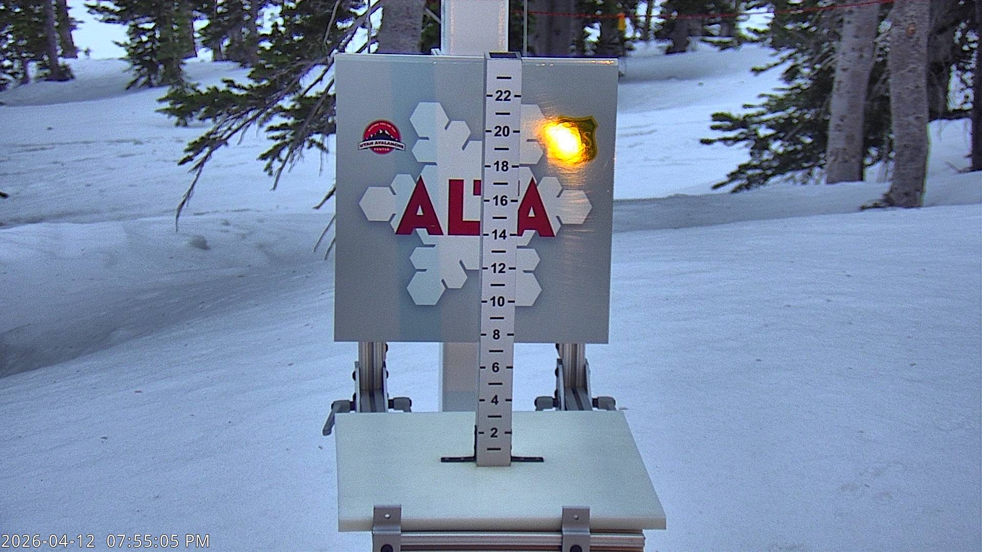 Alta Ski Area snow stake cam