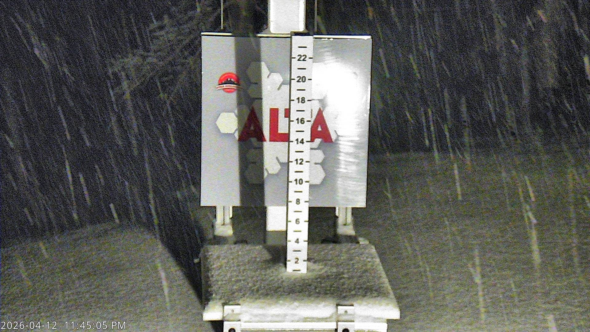 Alta Ski Area snow stake cam