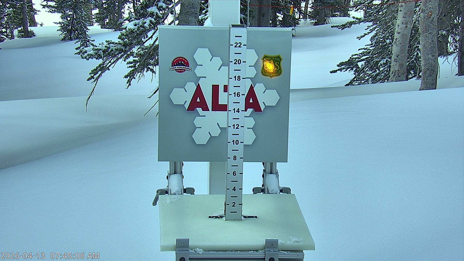 Alta Ski Area snow stake cam