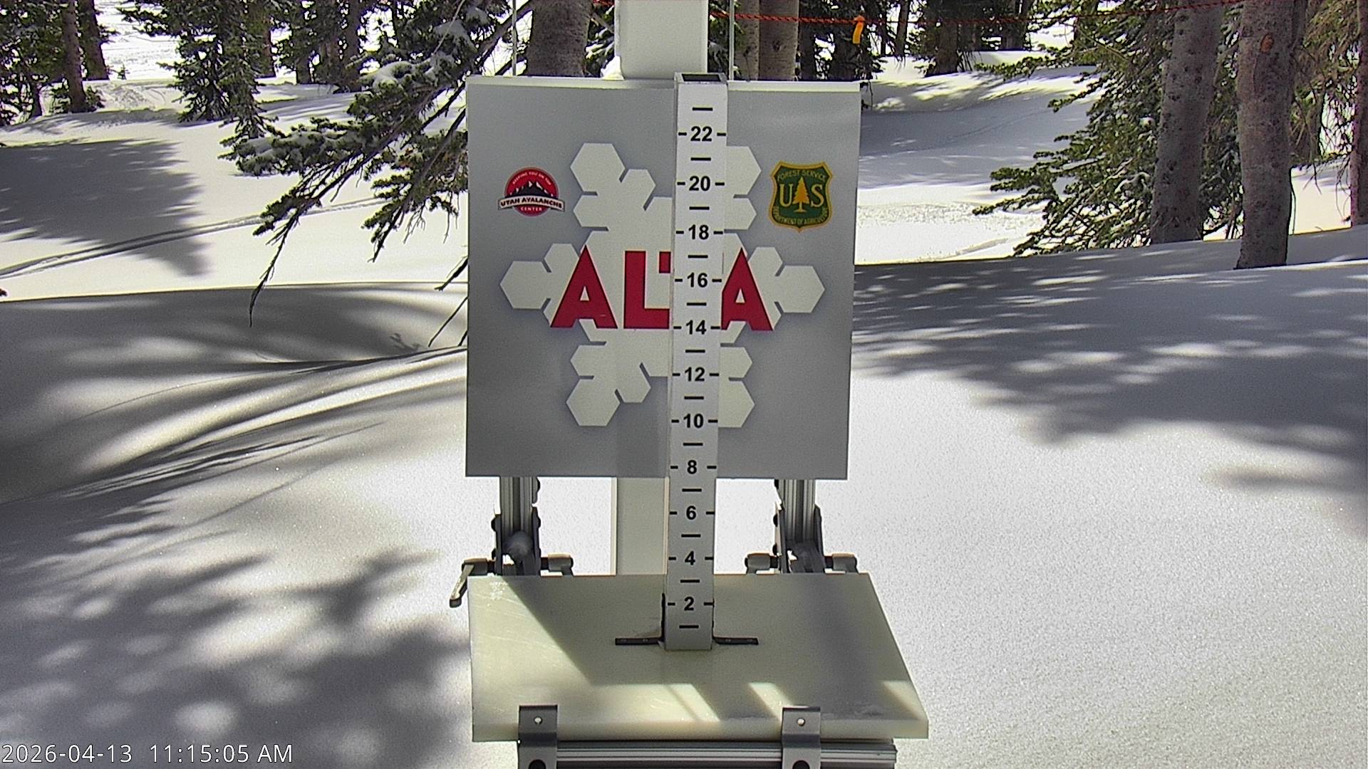 Alta Ski Area snow stake cam