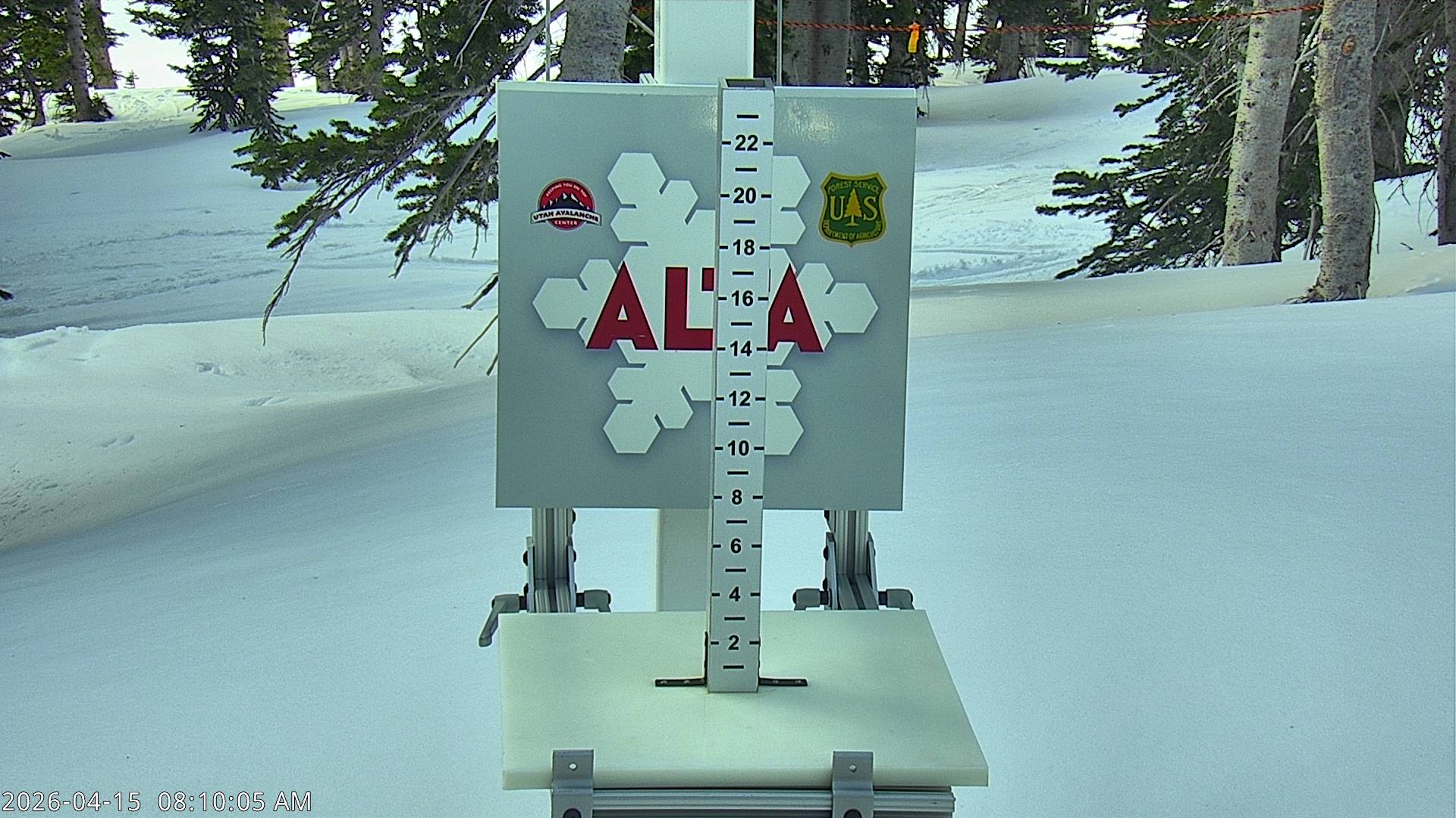 Alta Ski Area snow stake cam