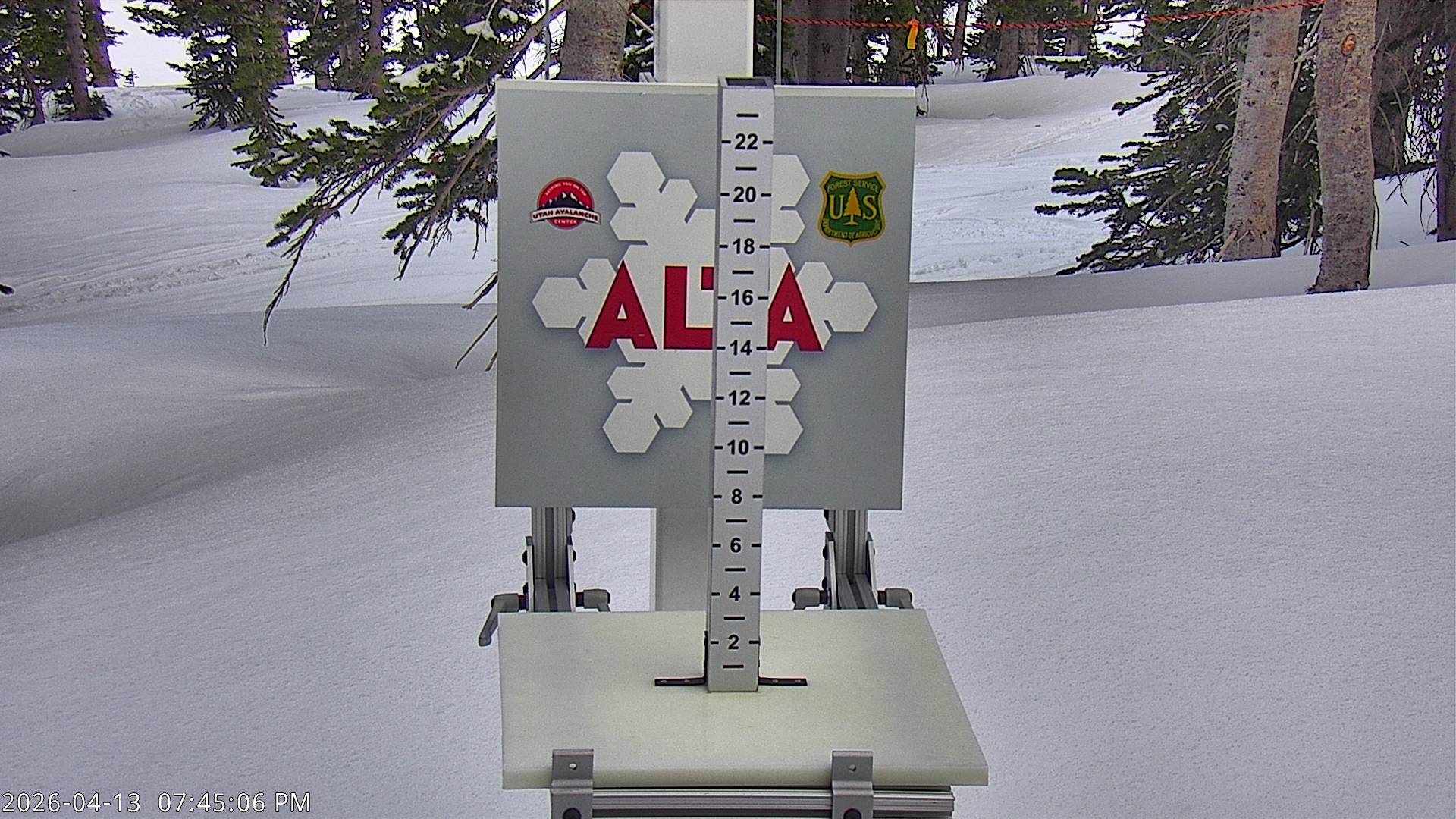 Alta Ski Area snow stake cam